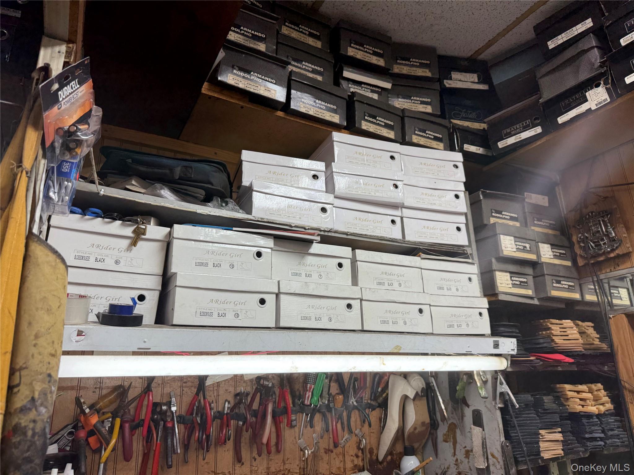 #20 photo, 741 Lydig Avenue, Bronx , NY 10462