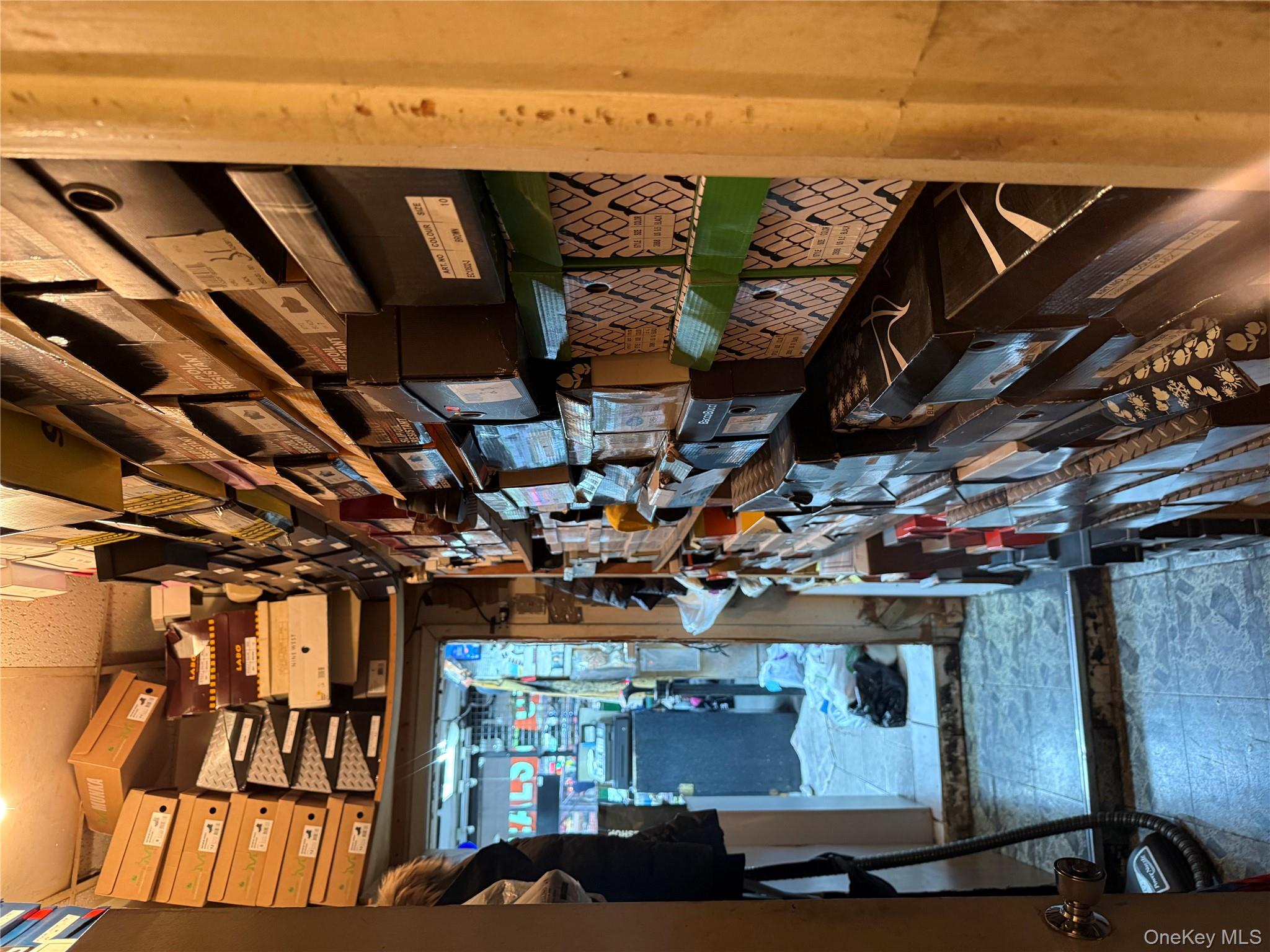 #8 photo, 741 Lydig Avenue, Bronx , NY 10462