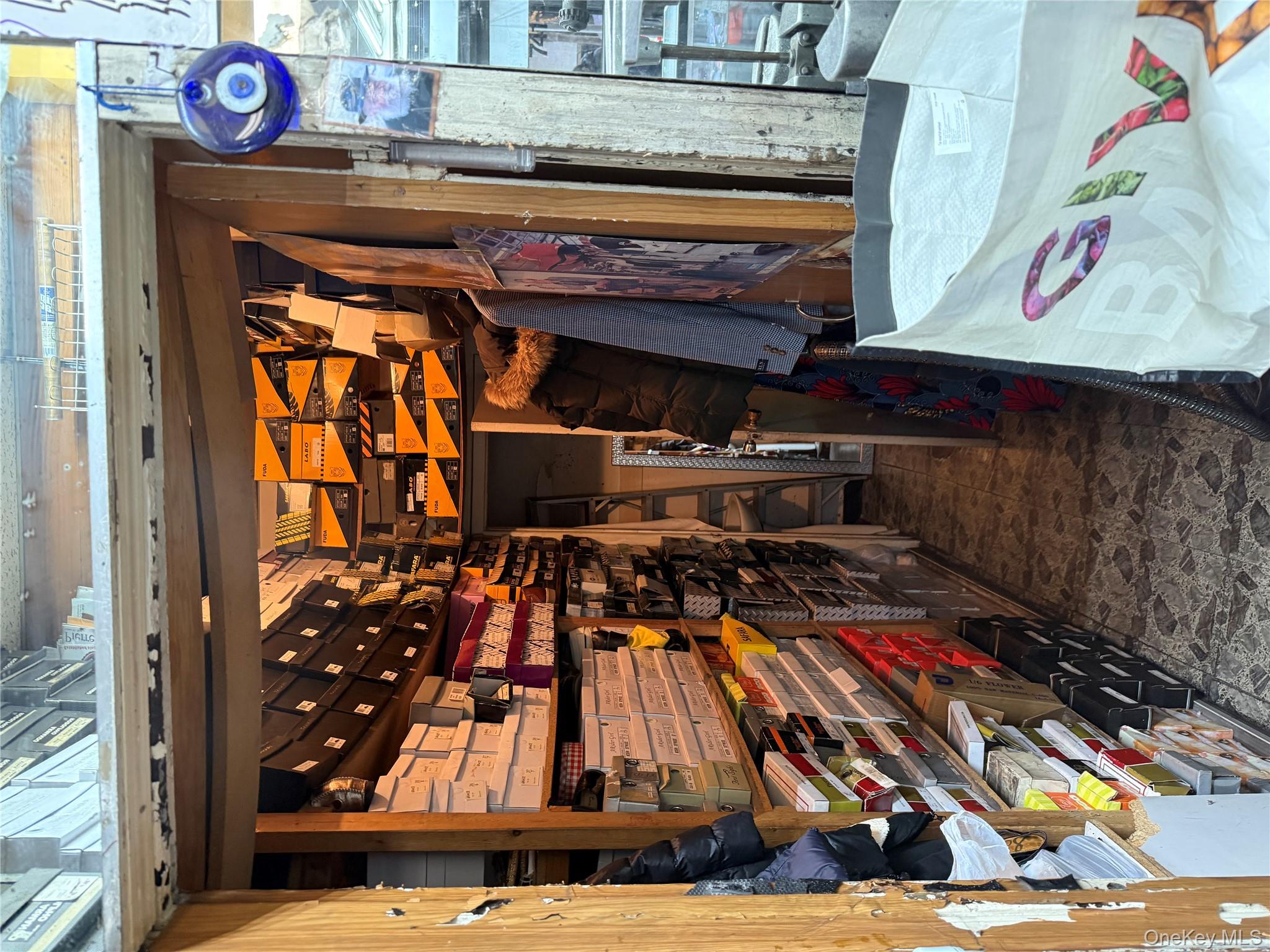 #9 photo, 741 Lydig Avenue, Bronx , NY 10462