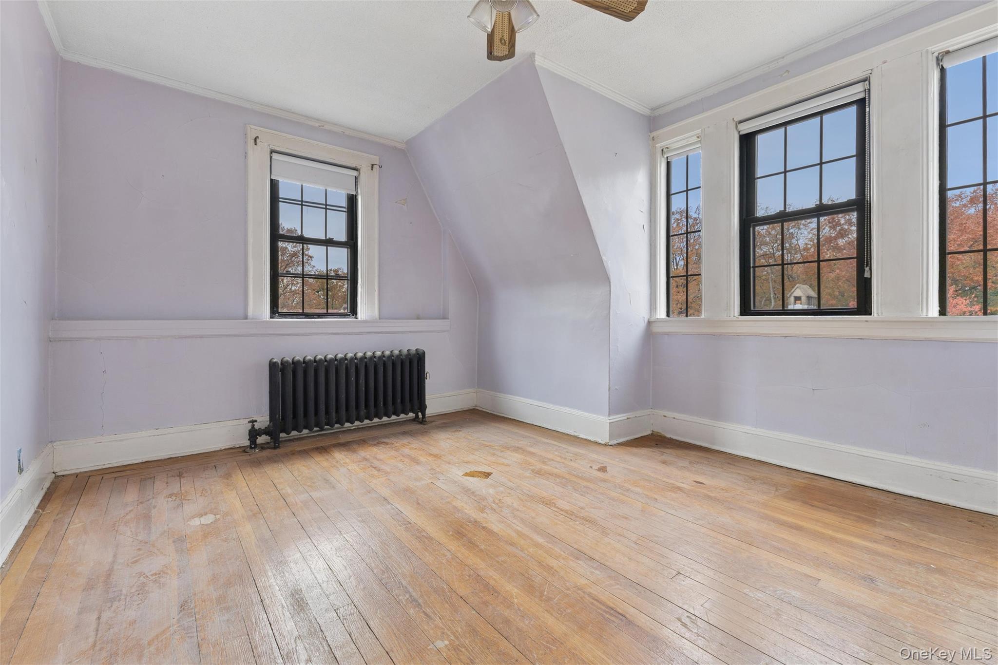 #9 photo, 213 Burns Street, Forest Hills , NY 11375