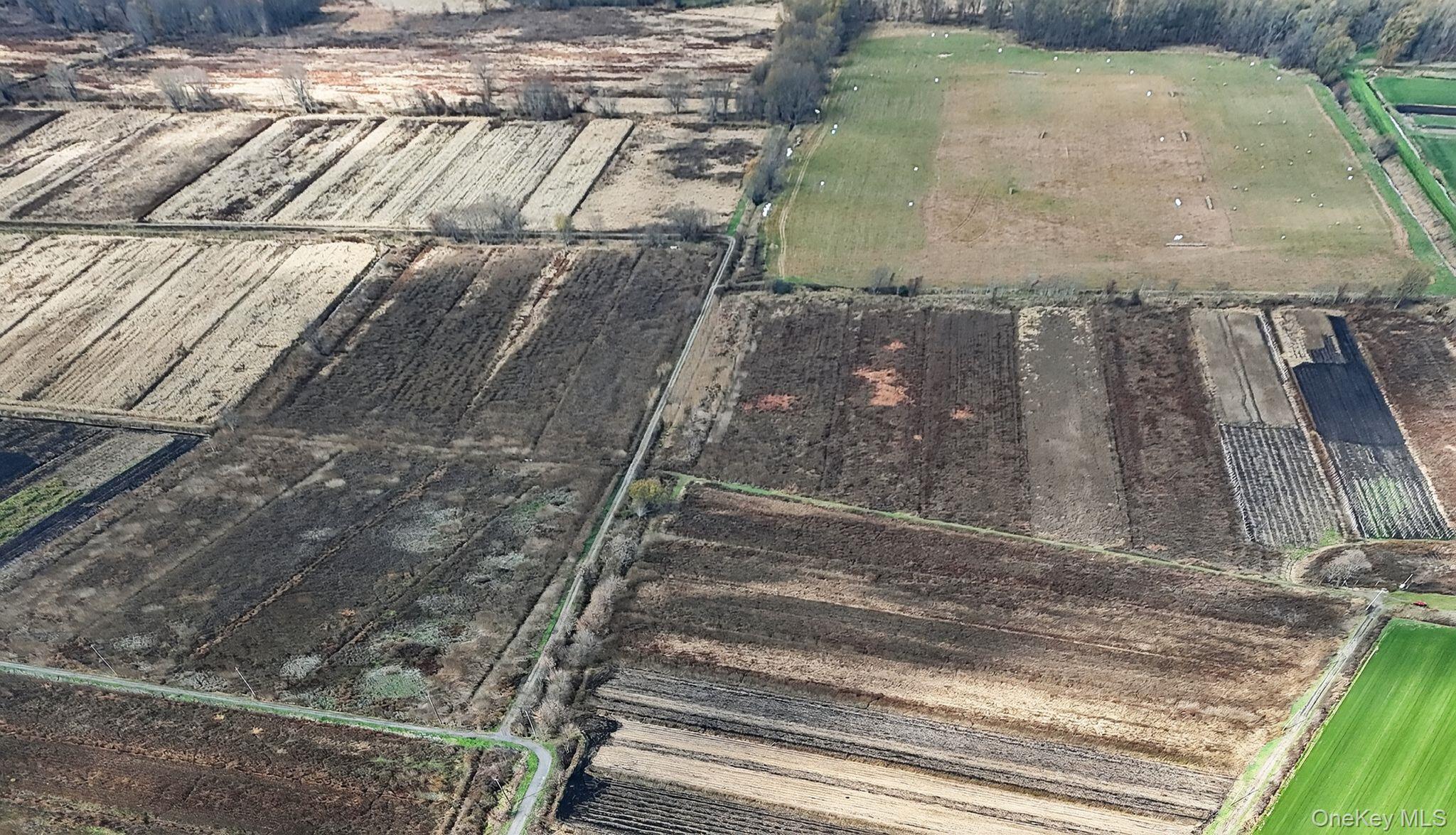 #11 photo, 60 Bierstine Lane, Pine Island , NY 10969