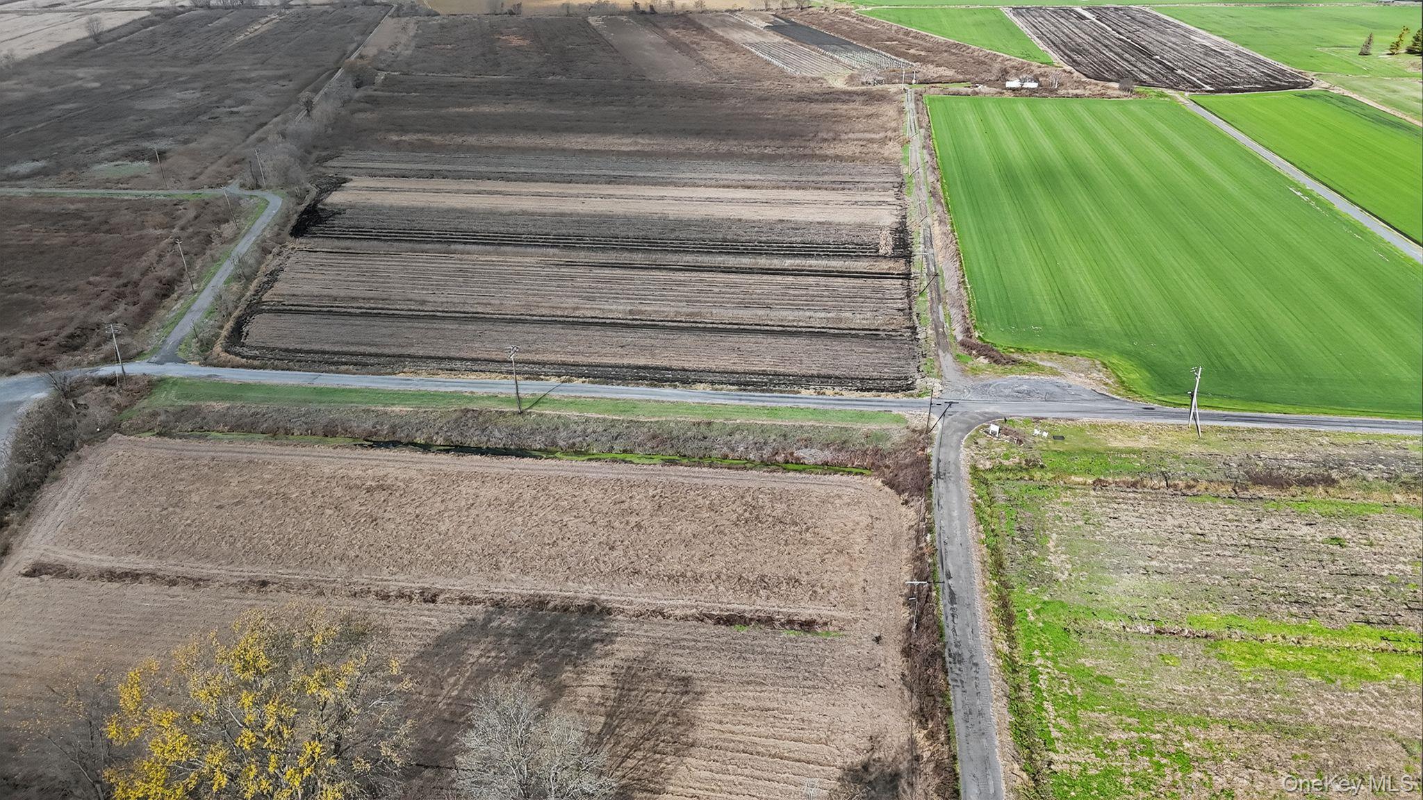 #12 photo, 60 Bierstine Lane, Pine Island , NY 10969