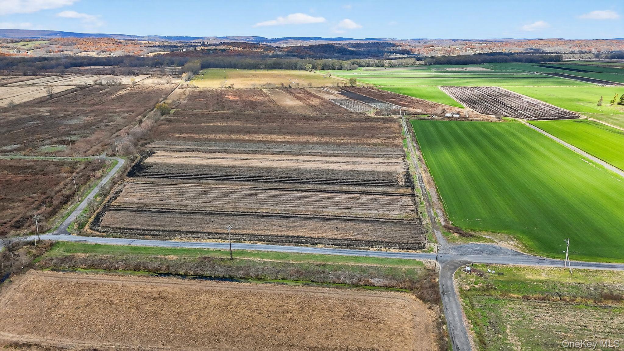 #13 photo, 60 Bierstine Lane, Pine Island , NY 10969