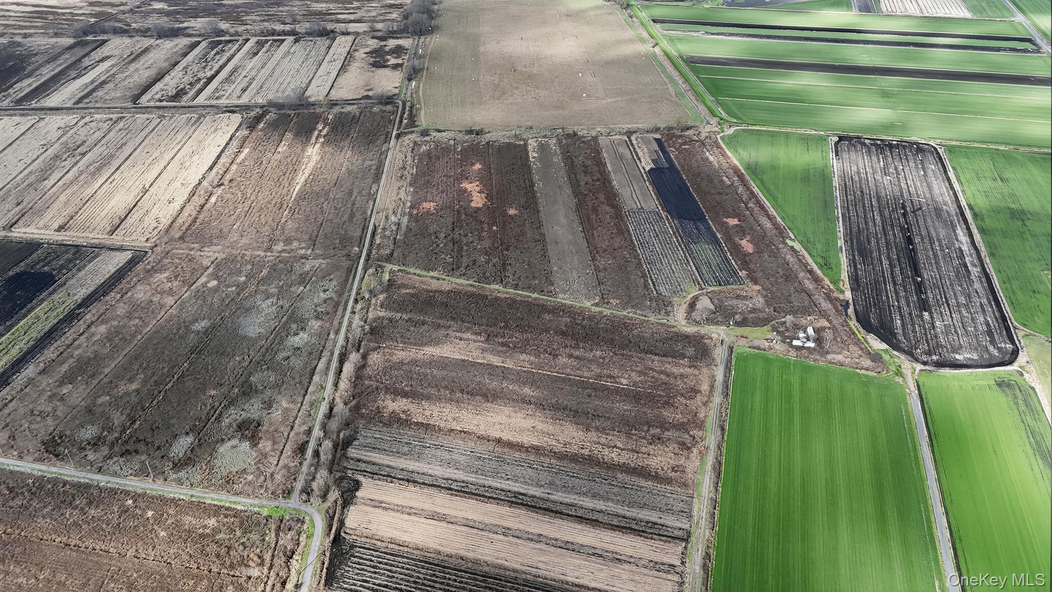 #8 photo, 60 Bierstine Lane, Pine Island , NY 10969