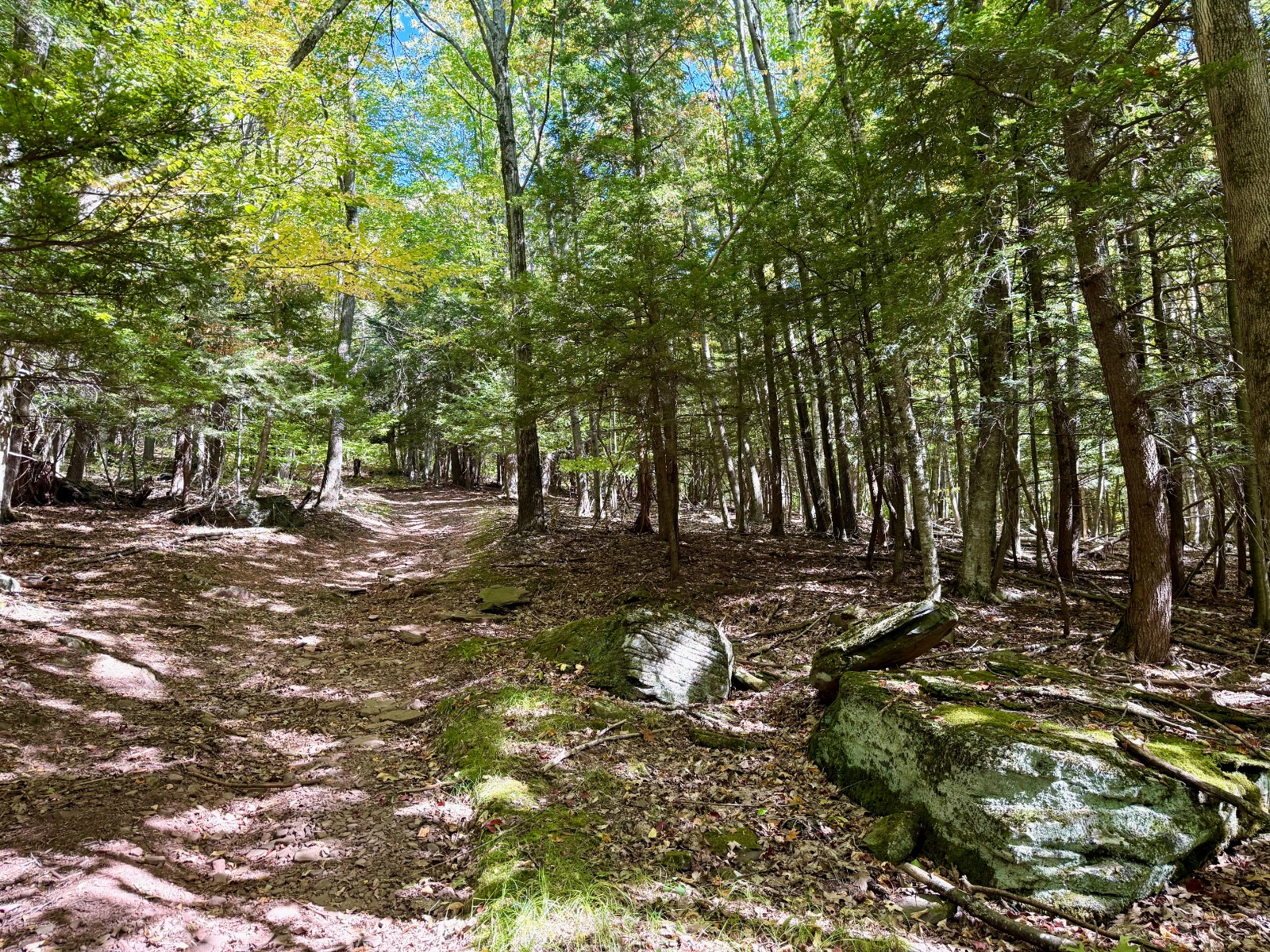 #10 photo, 393 B G Partridge Rd, Windham , NY 12496