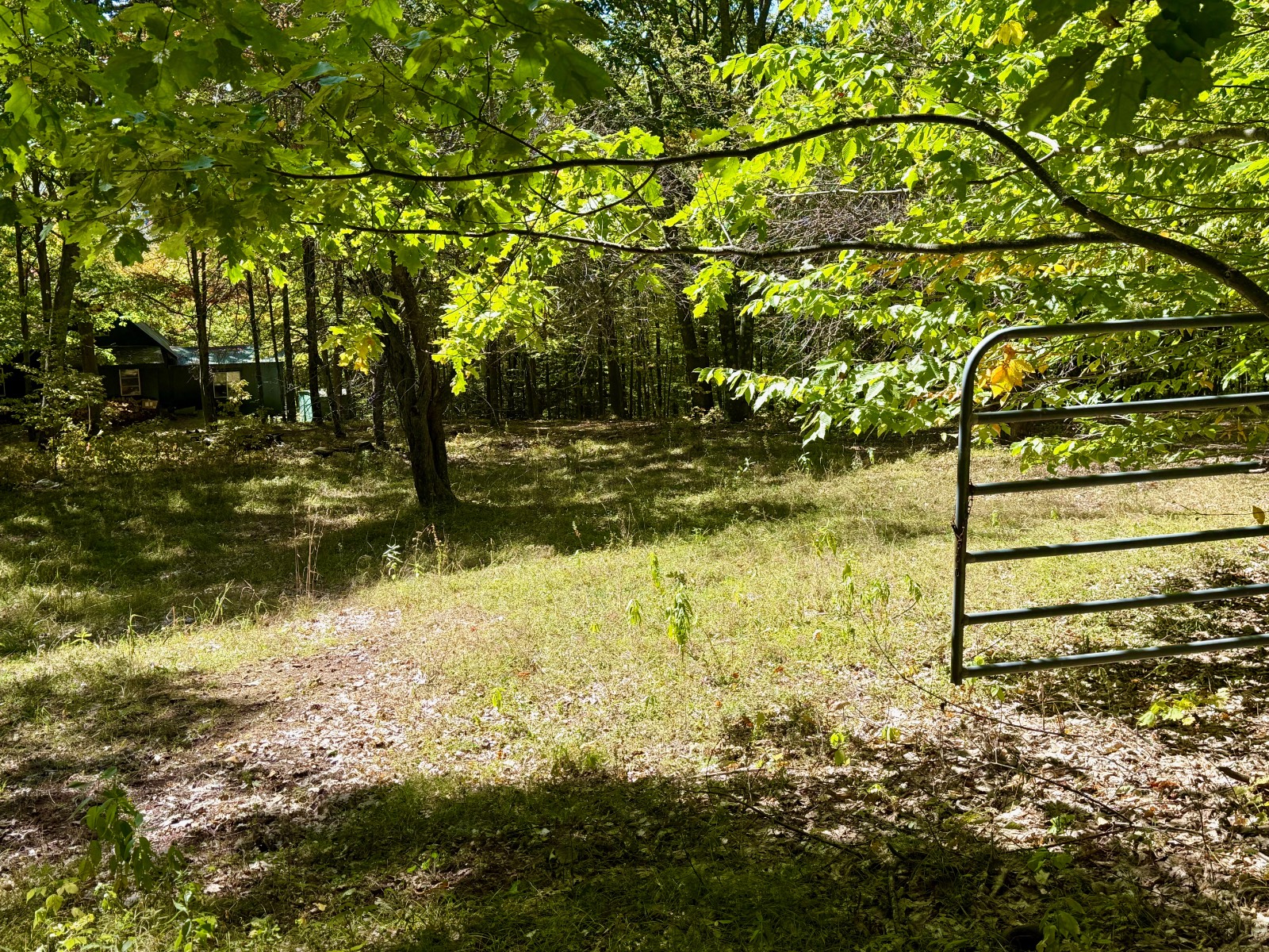 #11 photo, 393 B G Partridge Rd, Windham , NY 12496