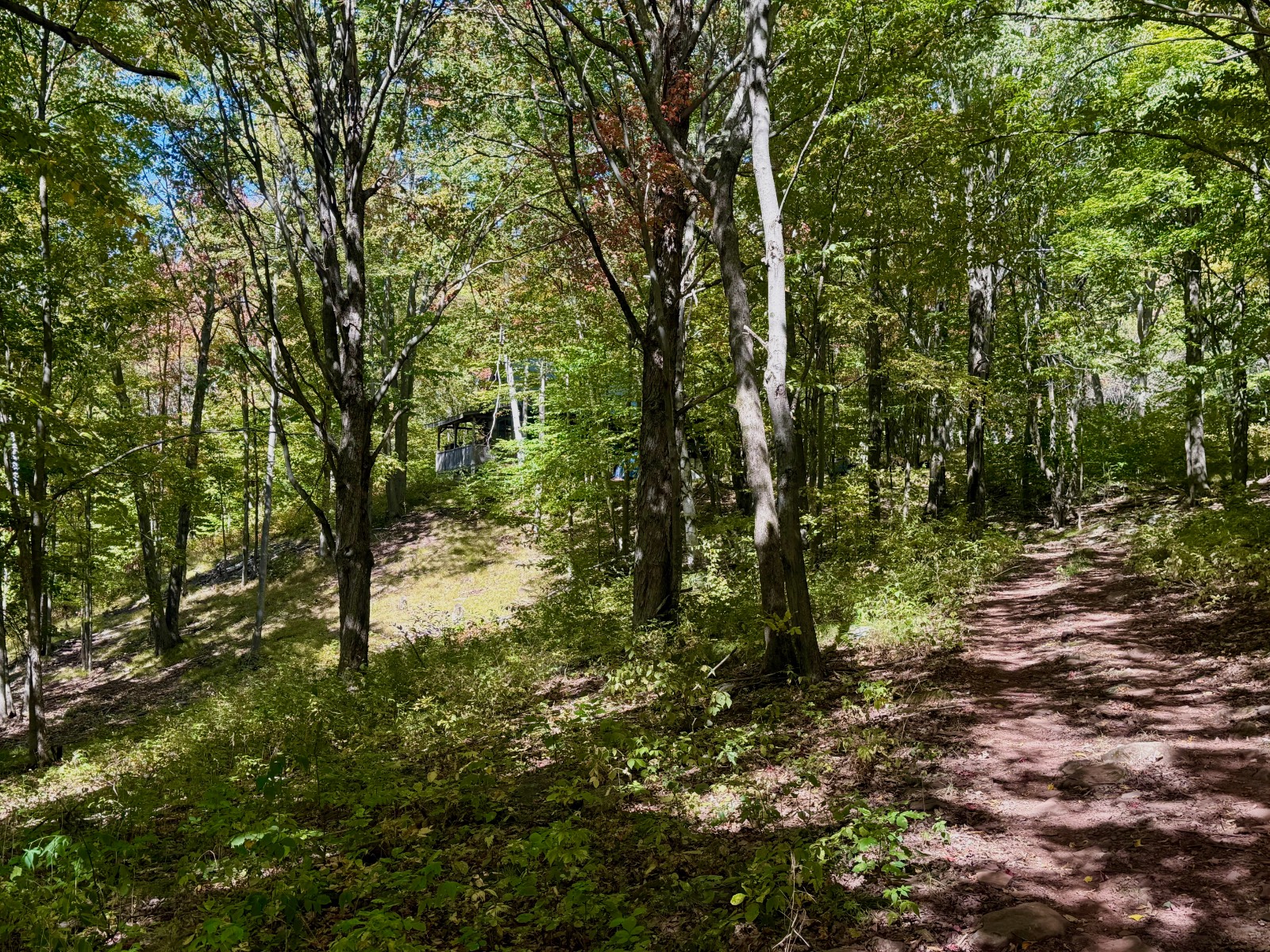 #12 photo, 393 B G Partridge Rd, Windham , NY 12496