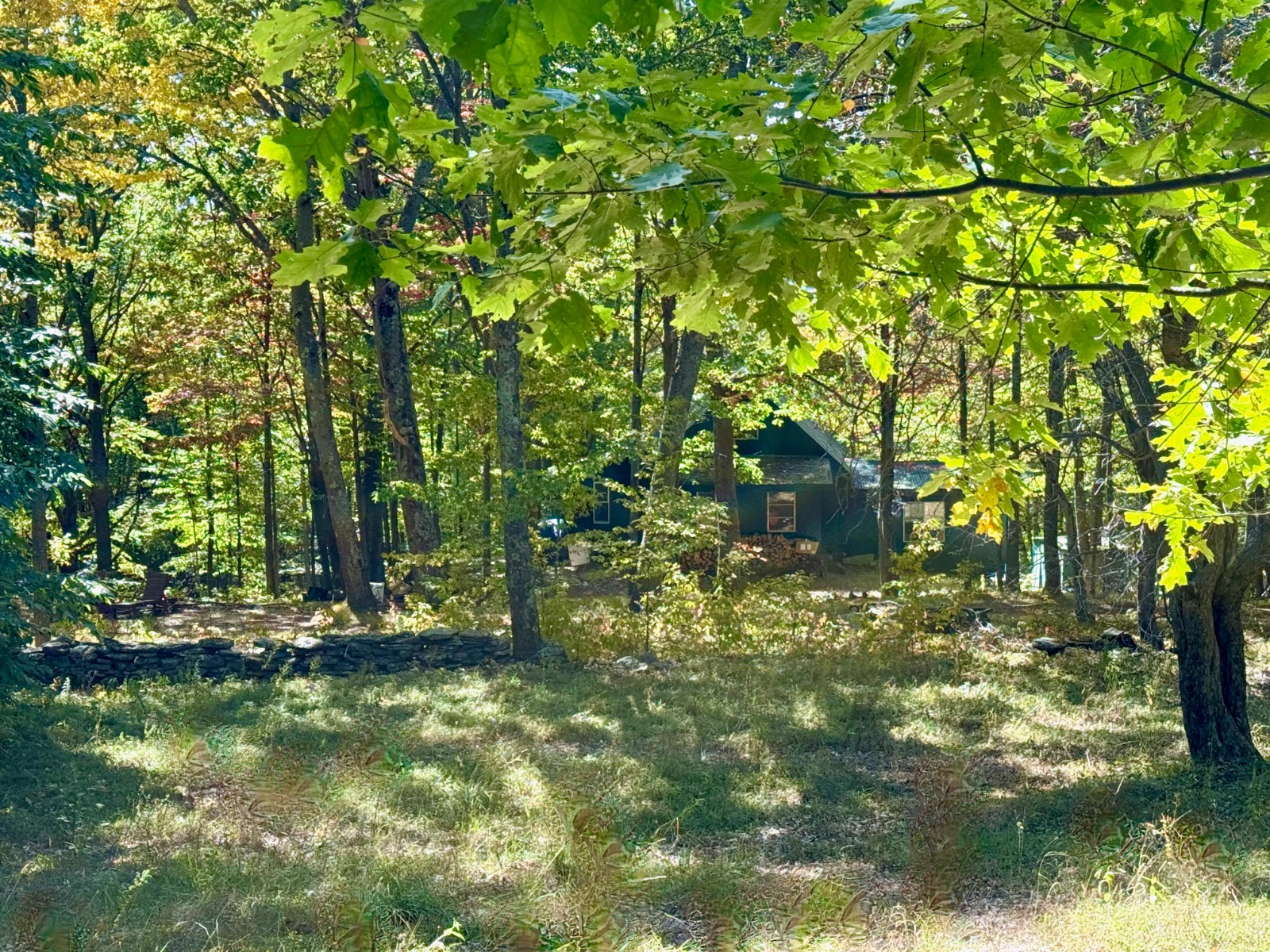 #13 photo, 393 B G Partridge Rd, Windham , NY 12496