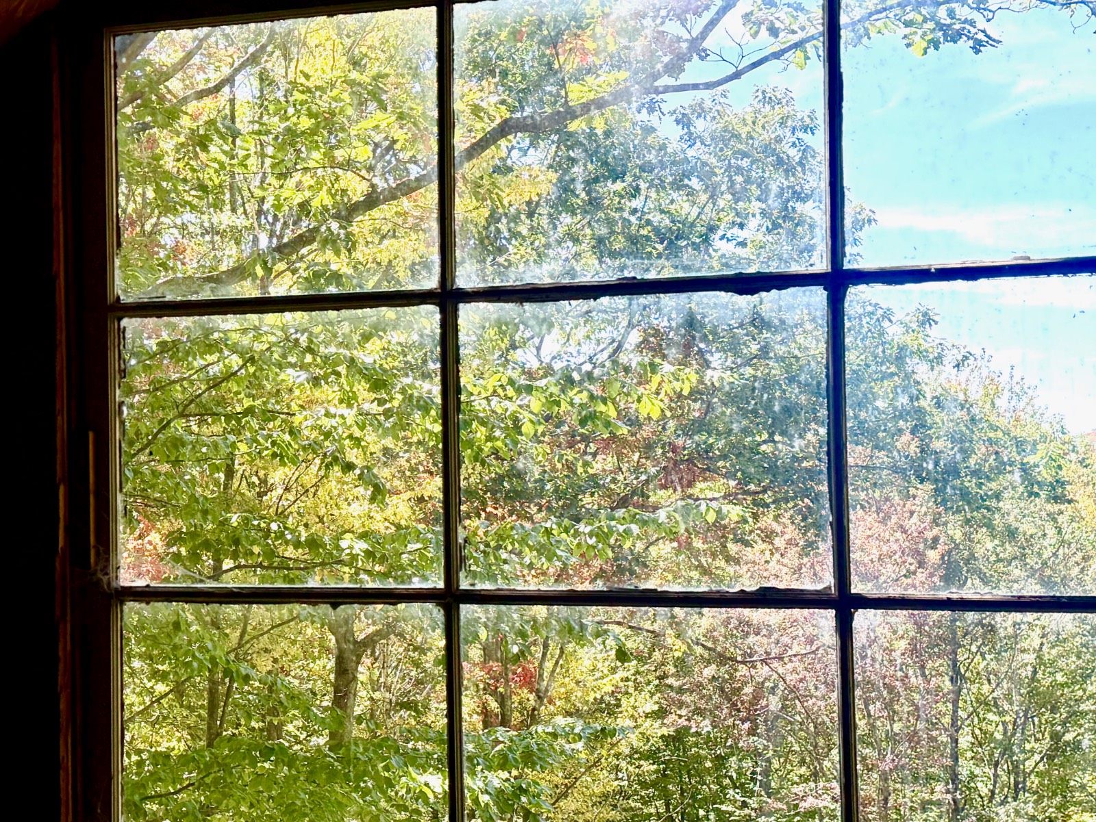 #18 photo, 393 B G Partridge Rd, Windham , NY 12496