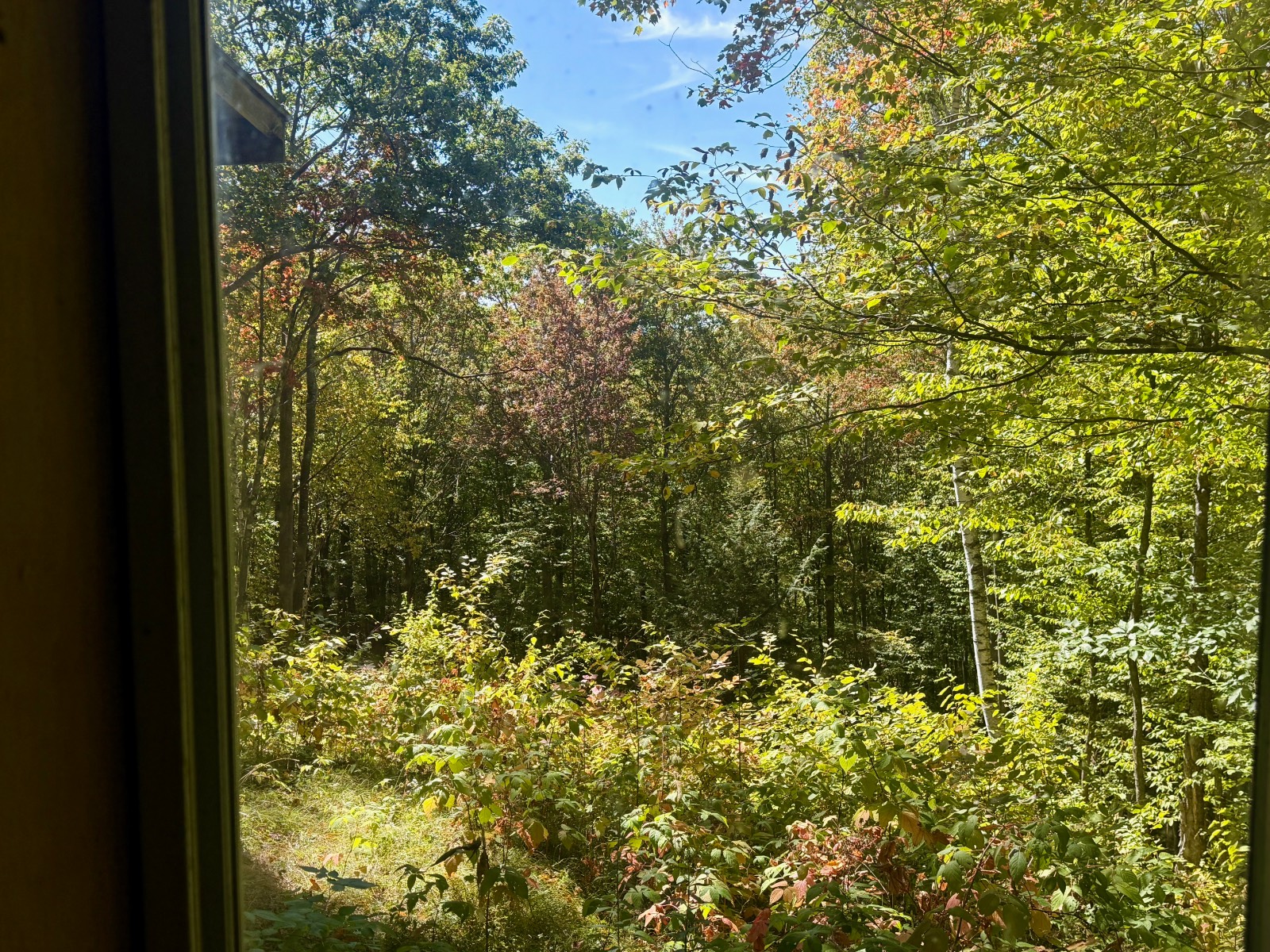 #19 photo, 393 B G Partridge Rd, Windham , NY 12496