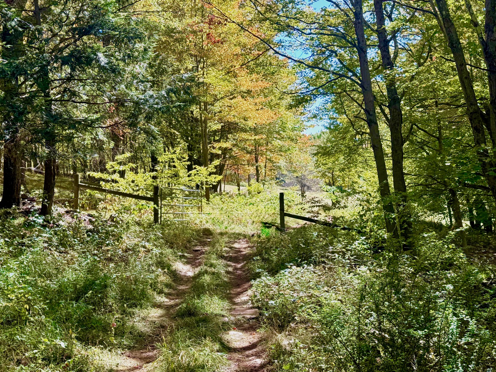 #20 photo, 393 B G Partridge Rd, Windham , NY 12496