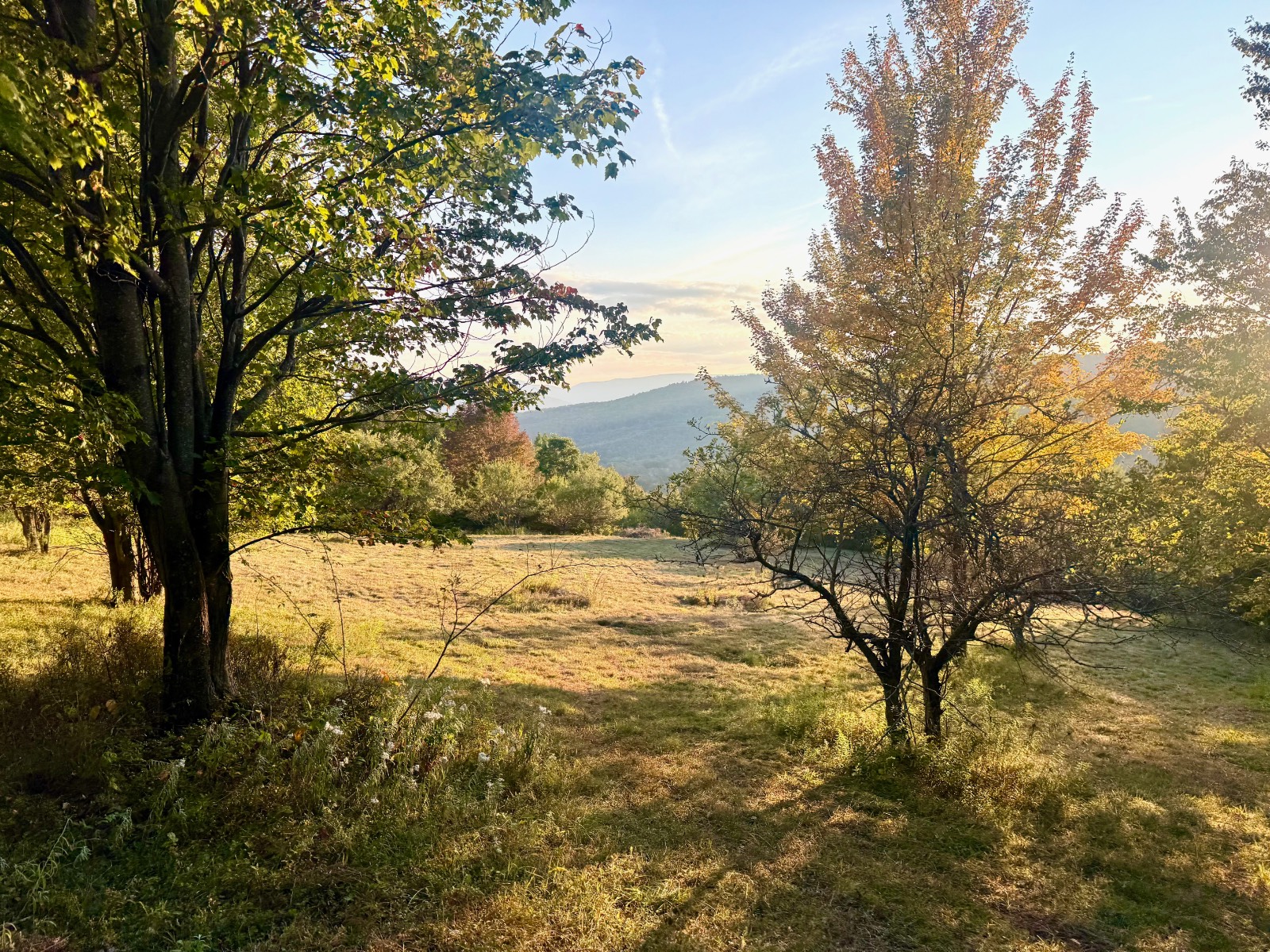 #21 photo, 393 B G Partridge Rd, Windham , NY 12496