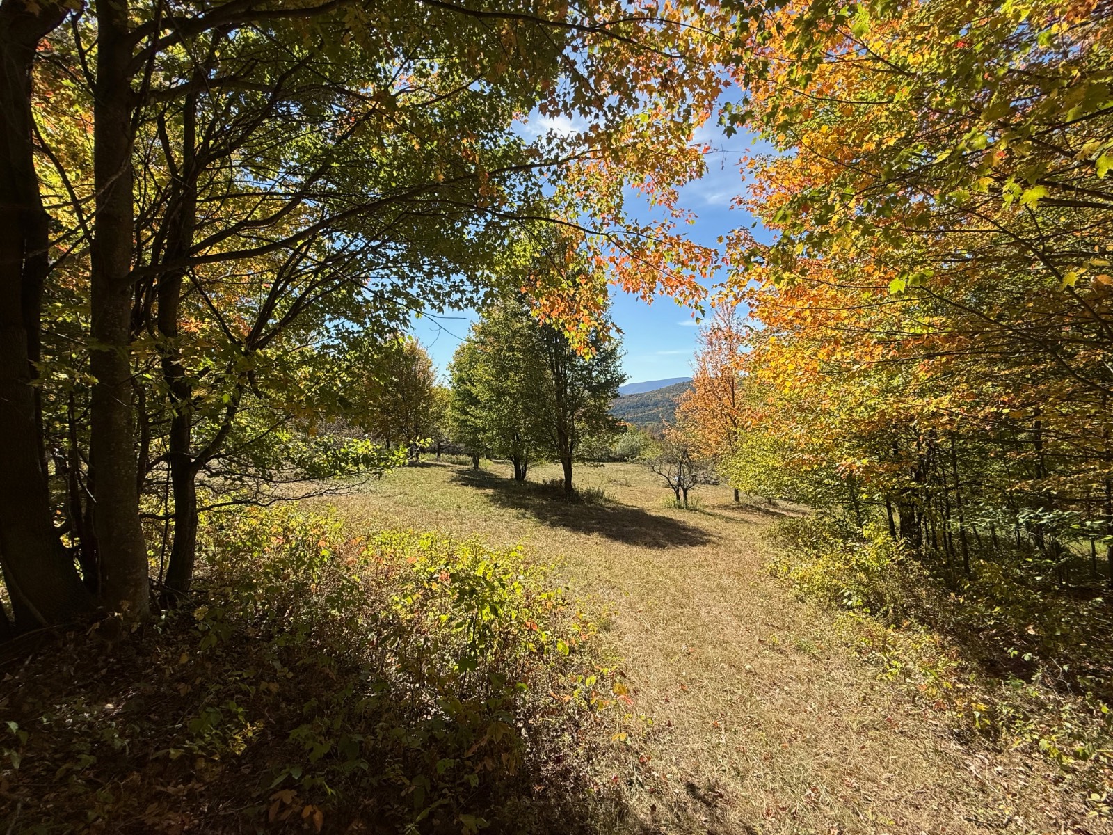 #22 photo, 393 B G Partridge Rd, Windham , NY 12496