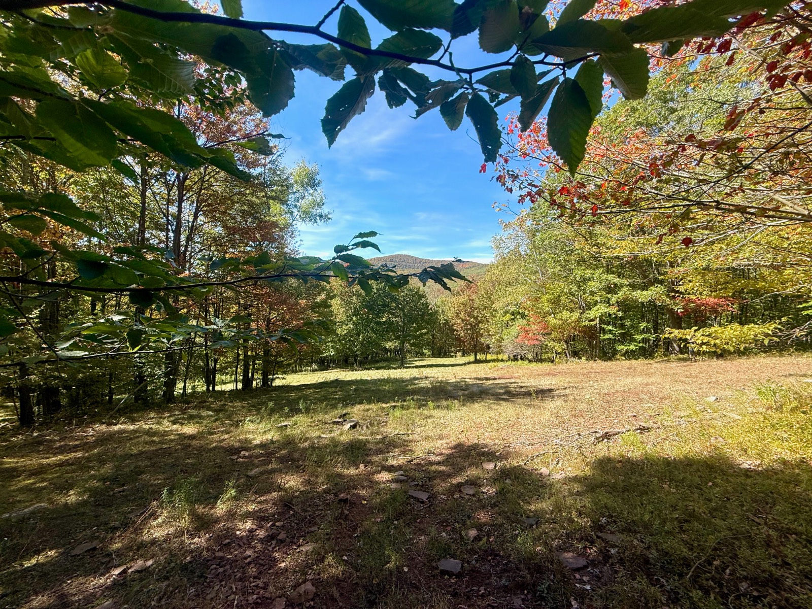 #23 photo, 393 B G Partridge Rd, Windham , NY 12496