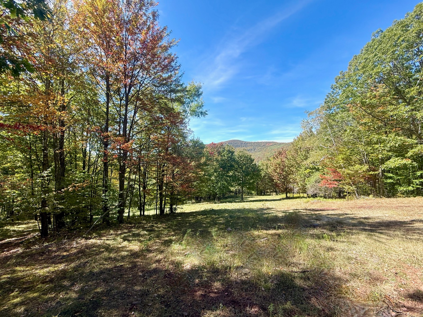 #24 photo, 393 B G Partridge Rd, Windham , NY 12496