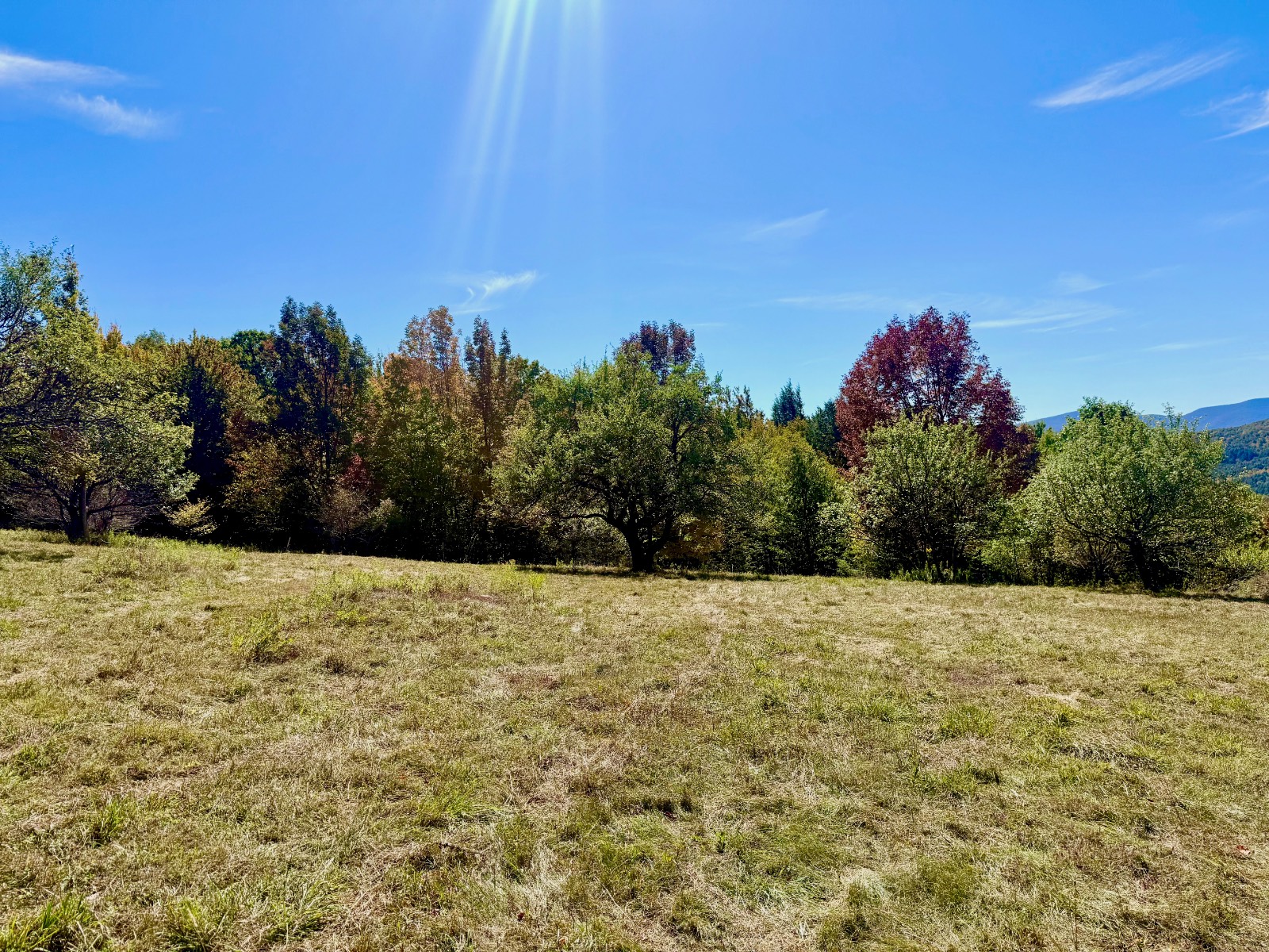 #26 photo, 393 B G Partridge Rd, Windham , NY 12496