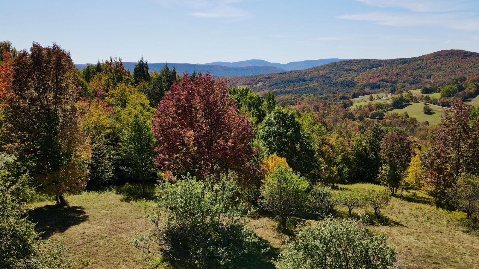 #27 photo, 393 B G Partridge Rd, Windham , NY 12496