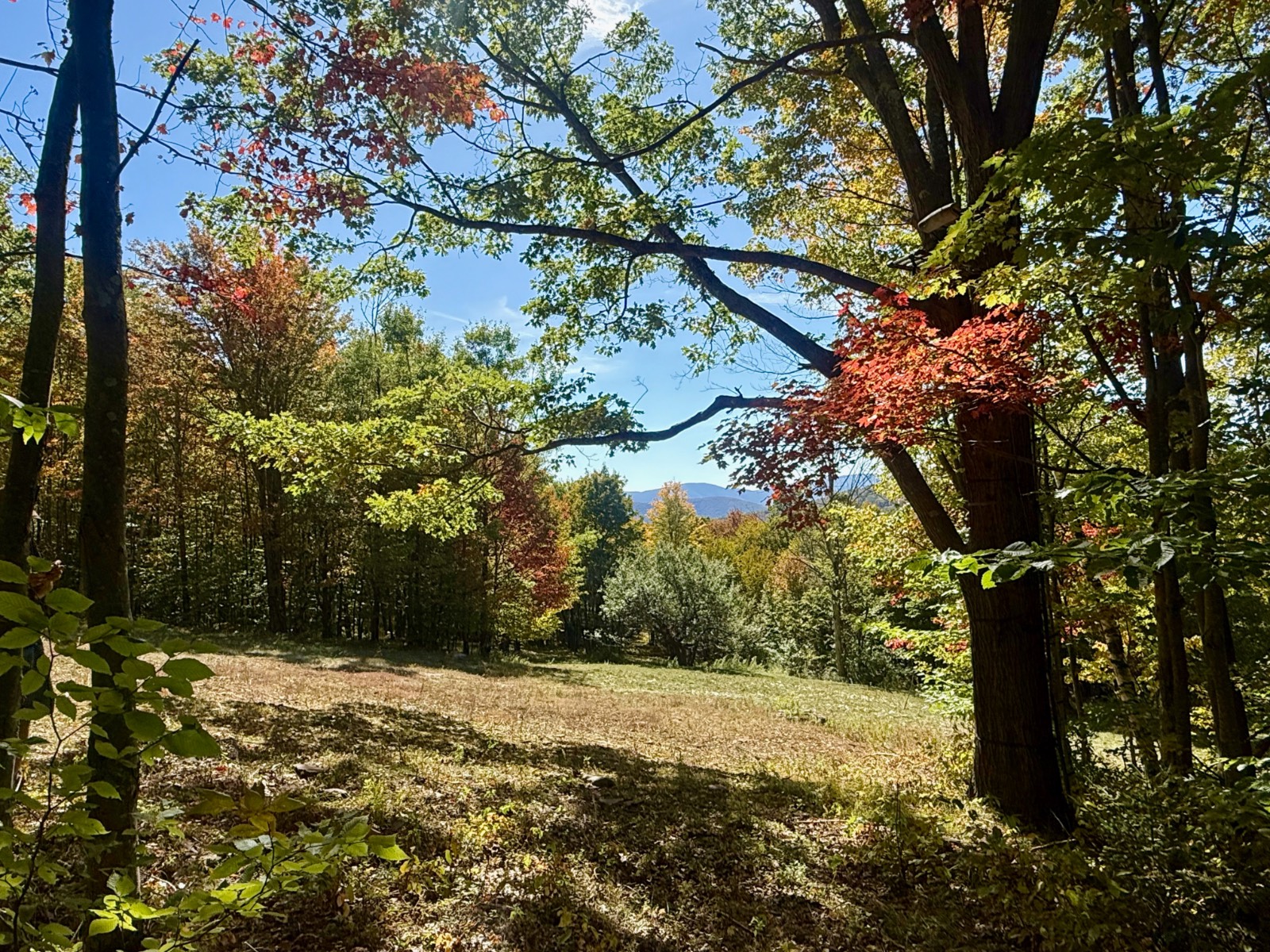 #28 photo, 393 B G Partridge Rd, Windham , NY 12496