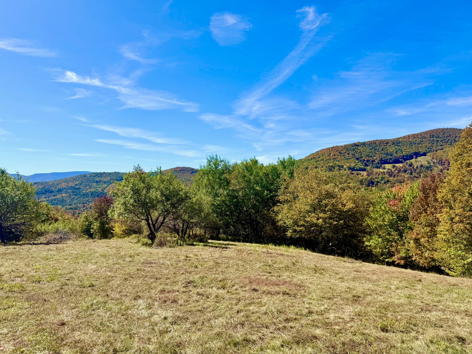 #30 photo, 393 B G Partridge Rd, Windham , NY 12496