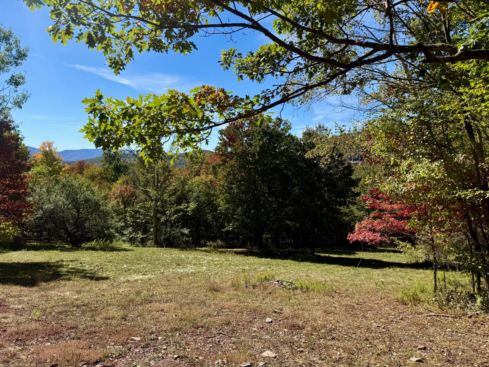 #31 photo, 393 B G Partridge Rd, Windham , NY 12496