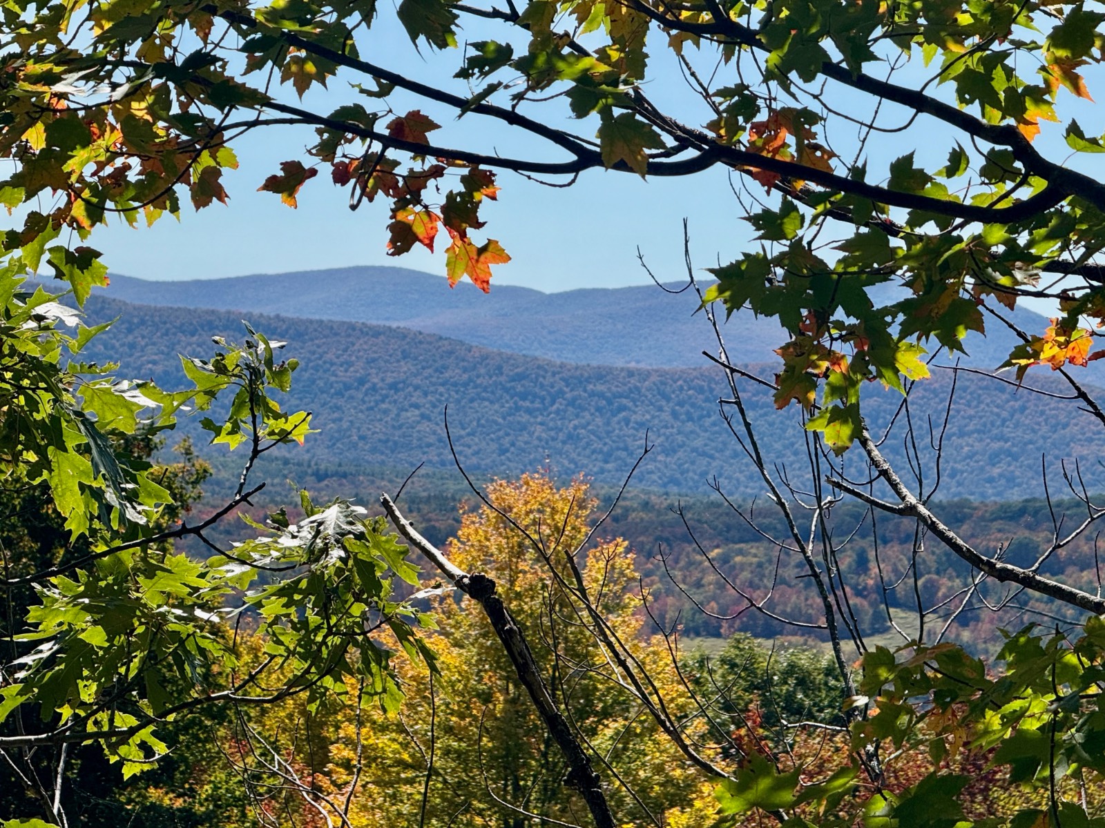 #32 photo, 393 B G Partridge Rd, Windham , NY 12496