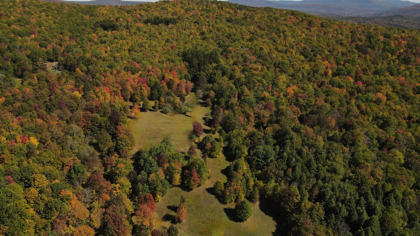 #33 photo, 393 B G Partridge Rd, Windham , NY 12496