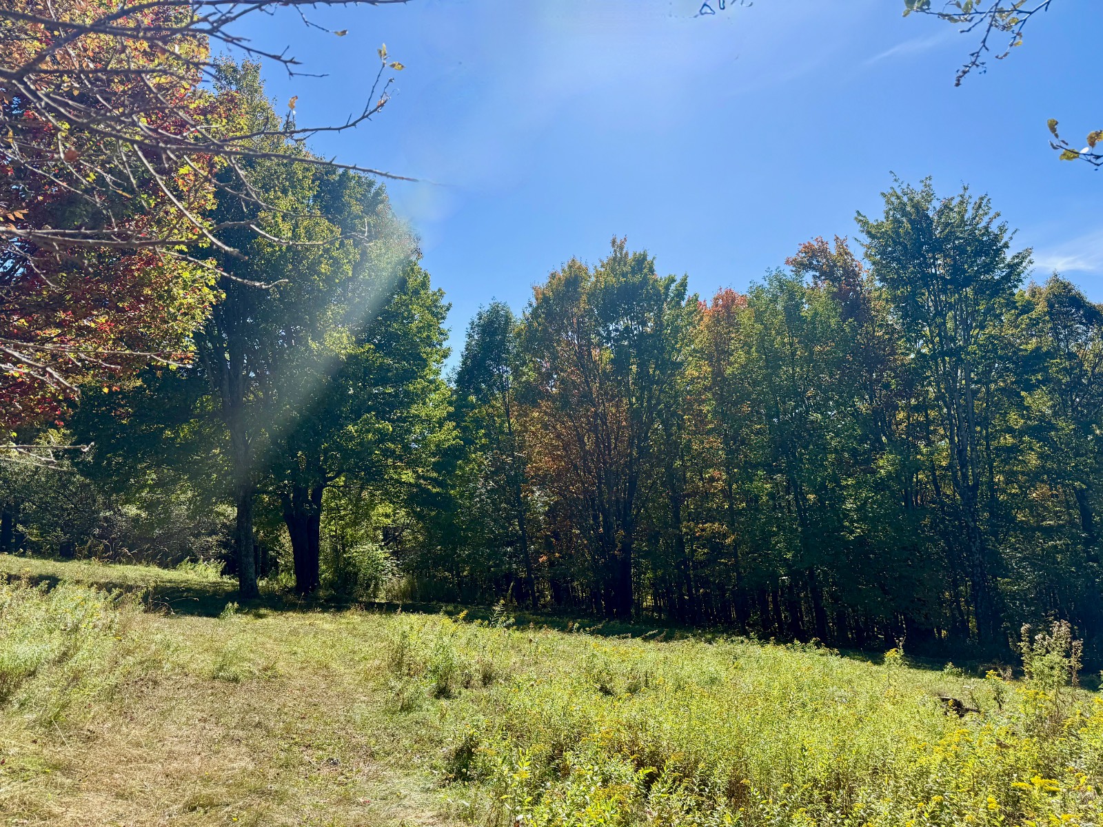 #36 photo, 393 B G Partridge Rd, Windham , NY 12496