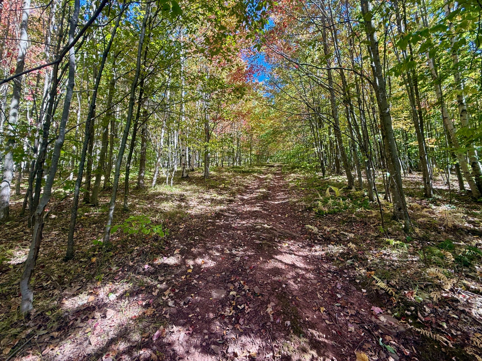 #38 photo, 393 B G Partridge Rd, Windham , NY 12496