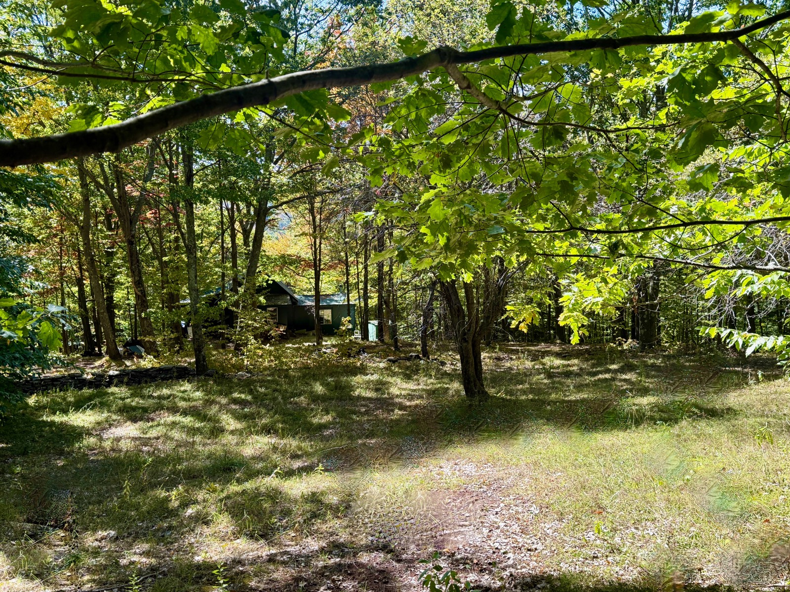 #39 photo, 393 B G Partridge Rd, Windham , NY 12496