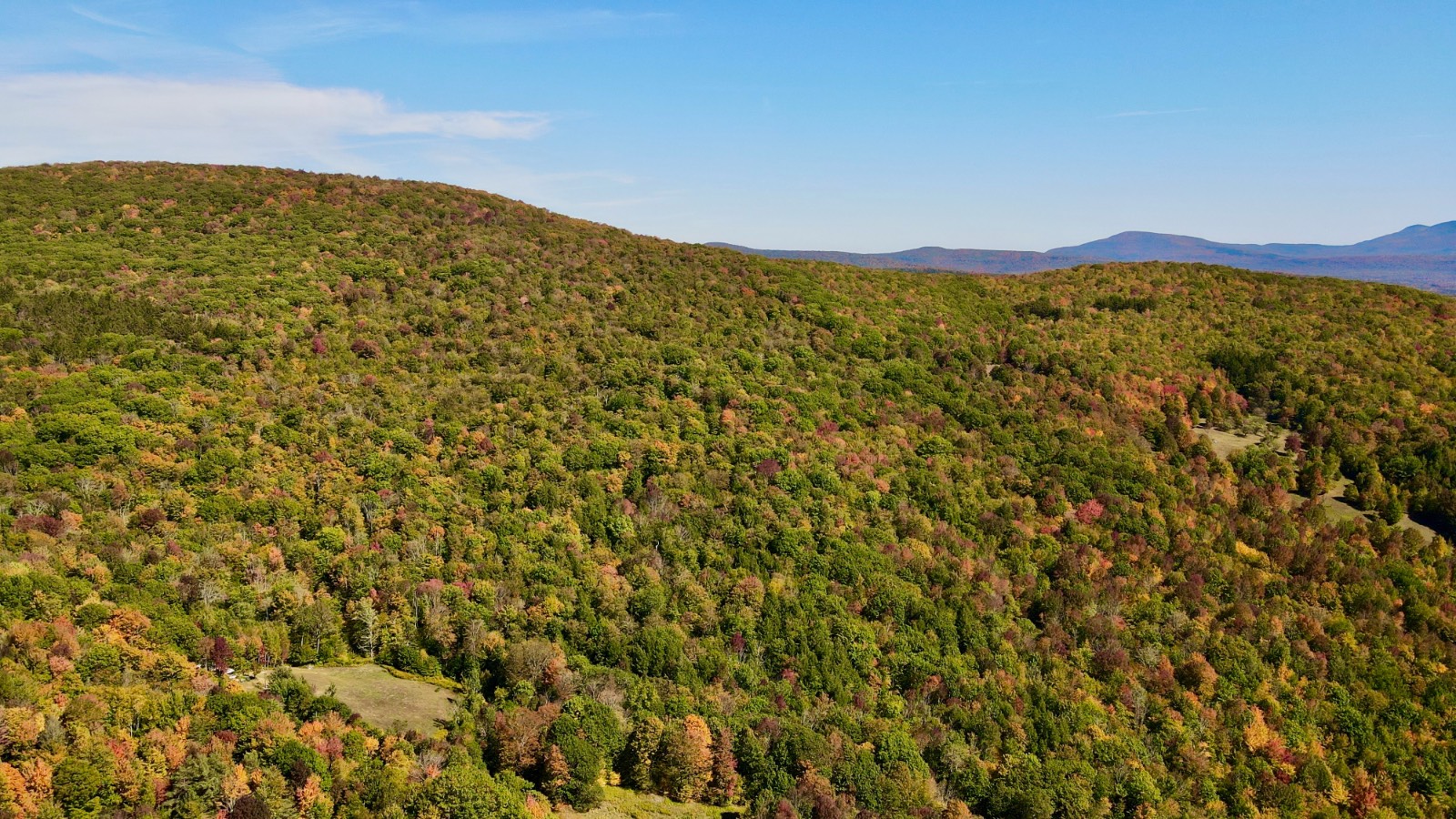 #40 photo, 393 B G Partridge Rd, Windham , NY 12496