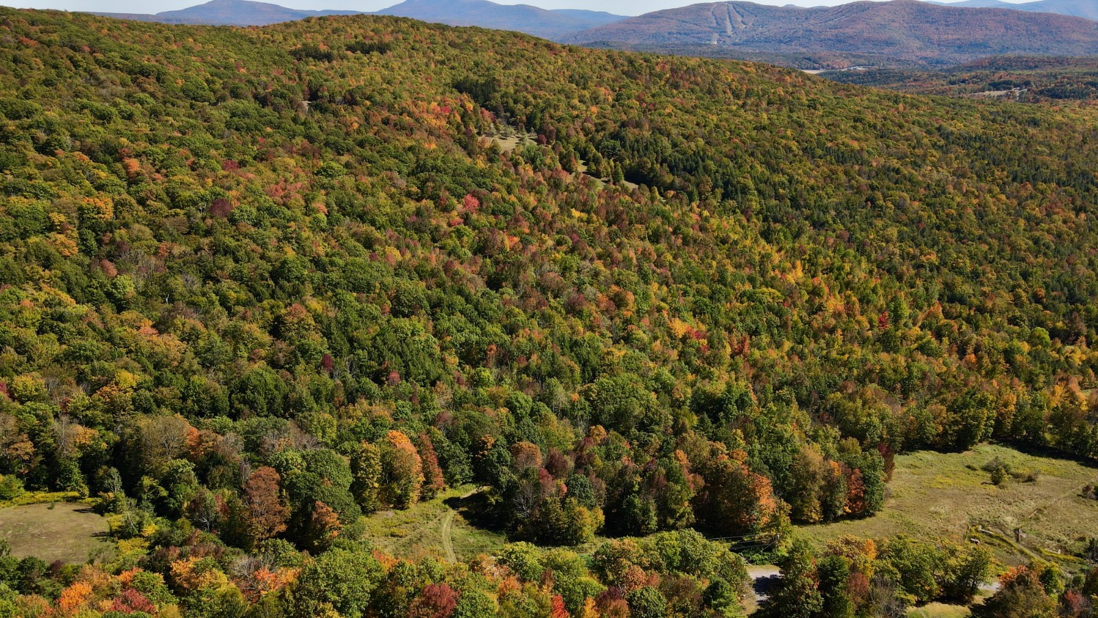 #41 photo, 393 B G Partridge Rd, Windham , NY 12496