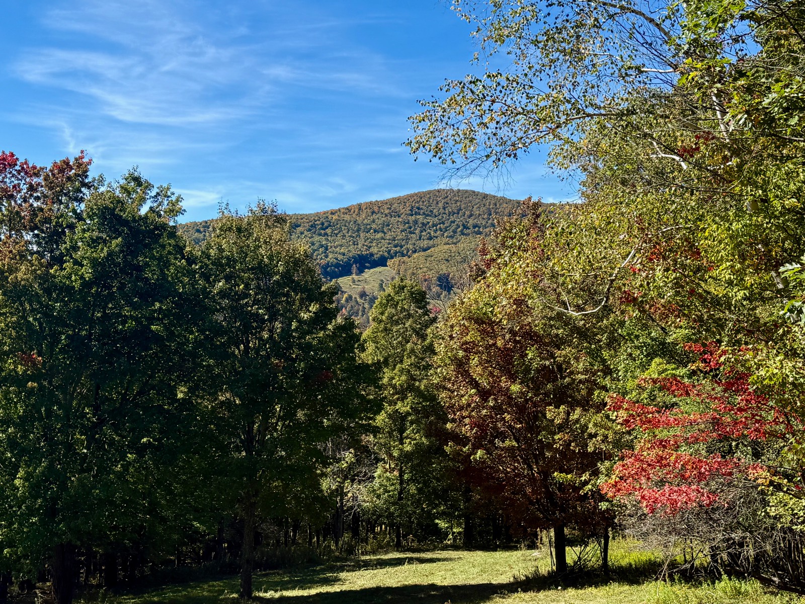 #42 photo, 393 B G Partridge Rd, Windham , NY 12496