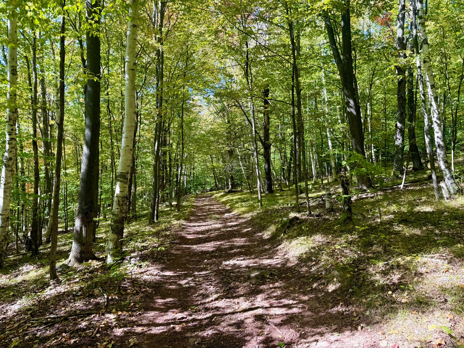 #44 photo, 393 B G Partridge Rd, Windham , NY 12496