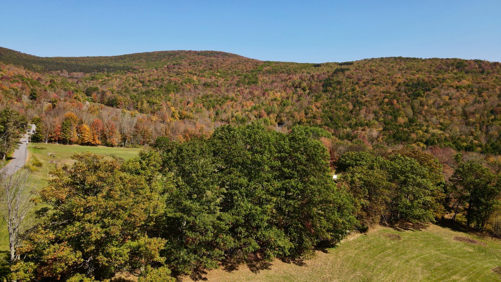 #45 photo, 393 B G Partridge Rd, Windham , NY 12496