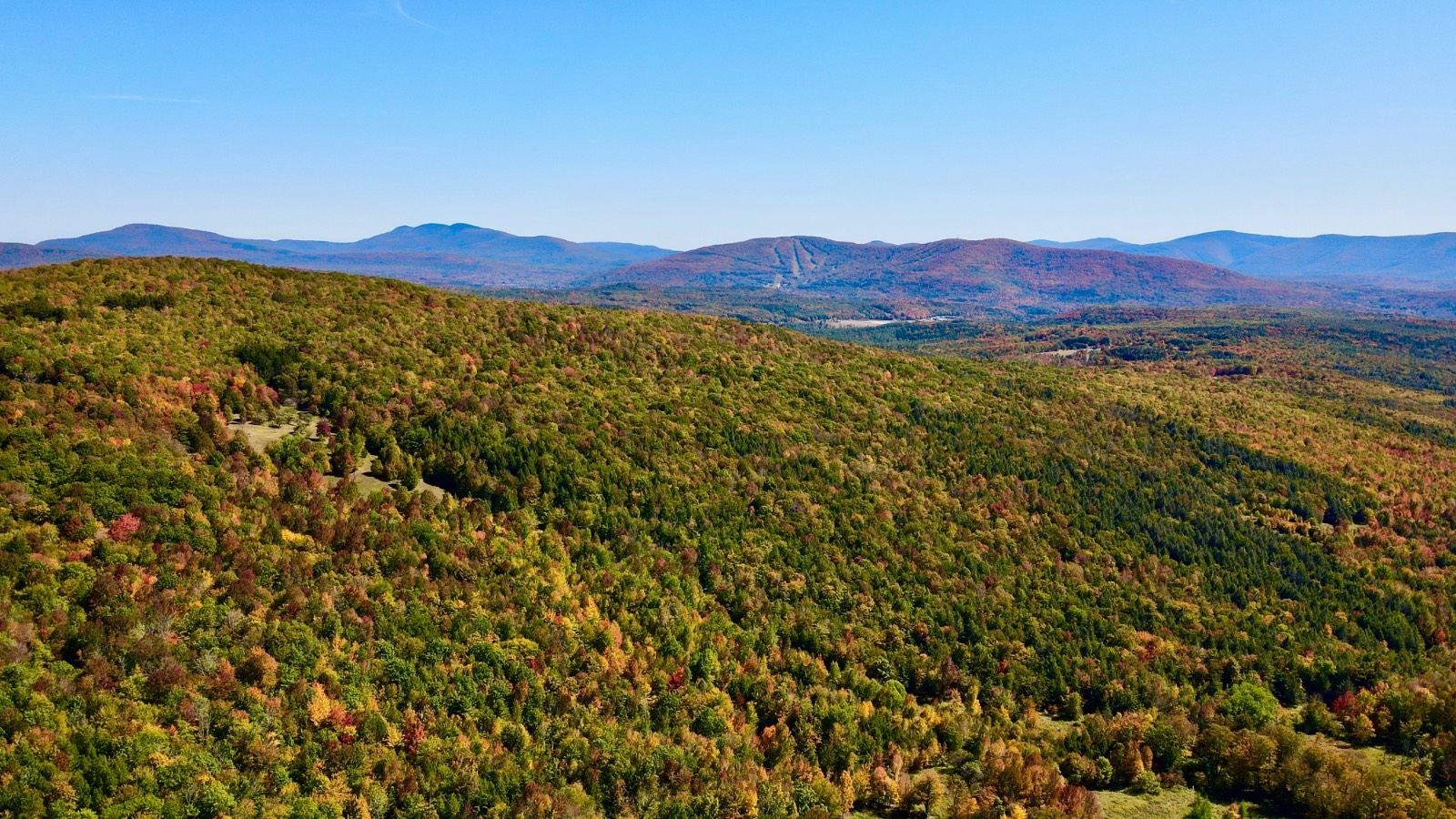 #47 photo, 393 B G Partridge Rd, Windham , NY 12496