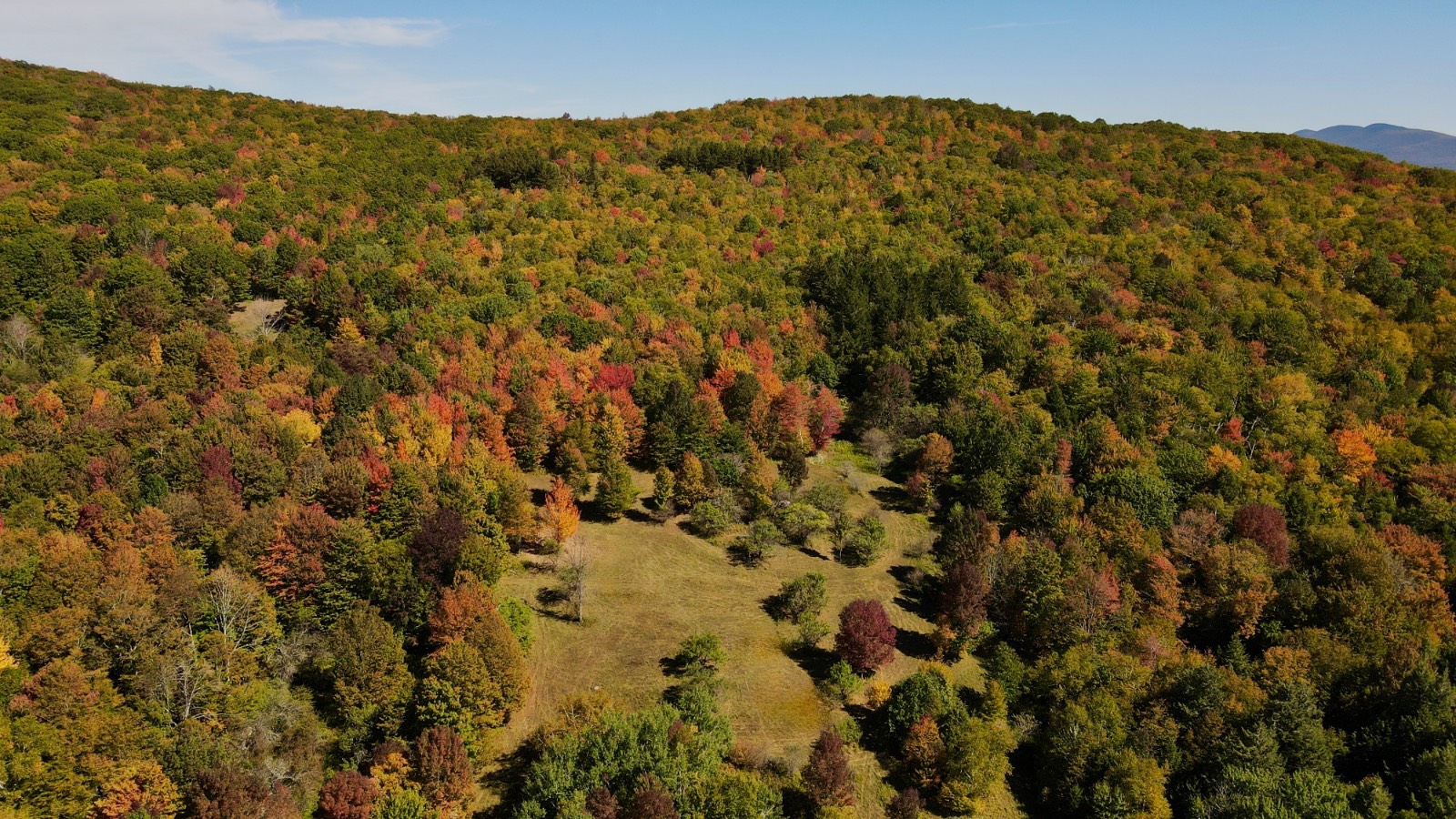 #5 photo, 393 B G Partridge Rd, Windham , NY 12496