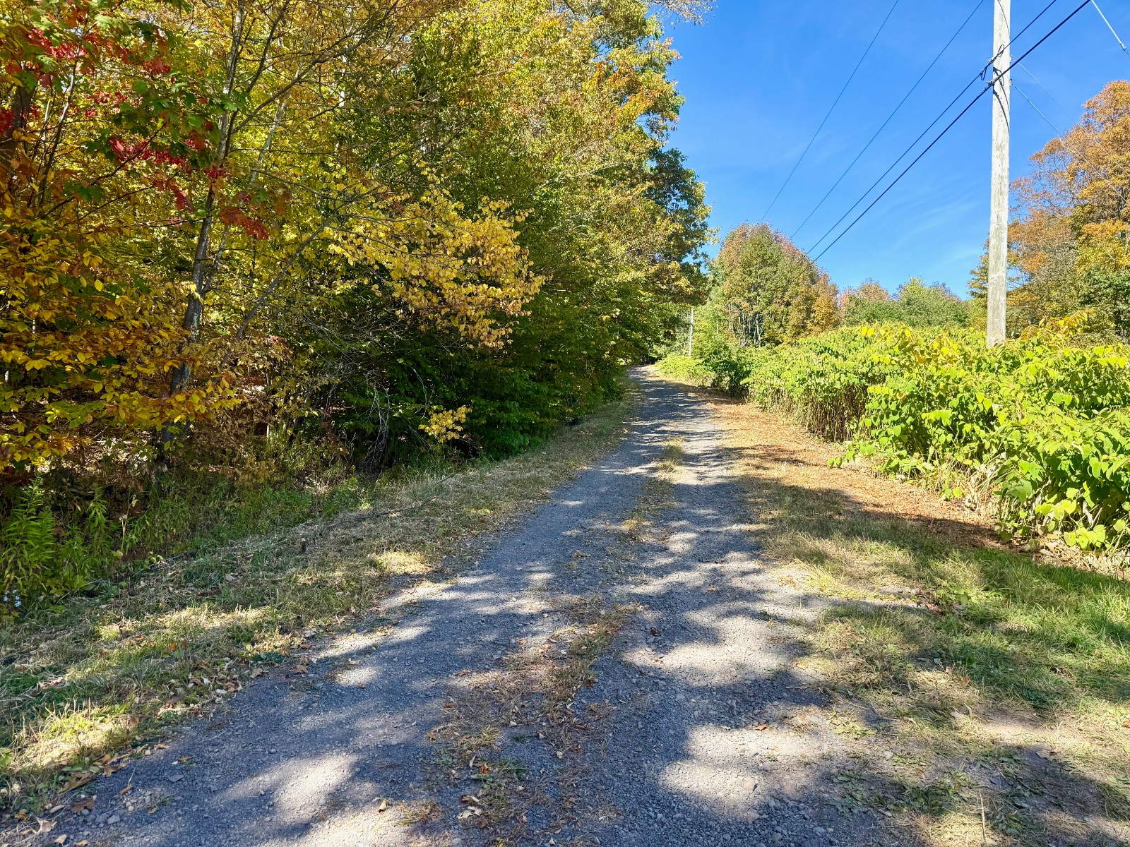 #6 photo, 393 B G Partridge Rd, Windham , NY 12496