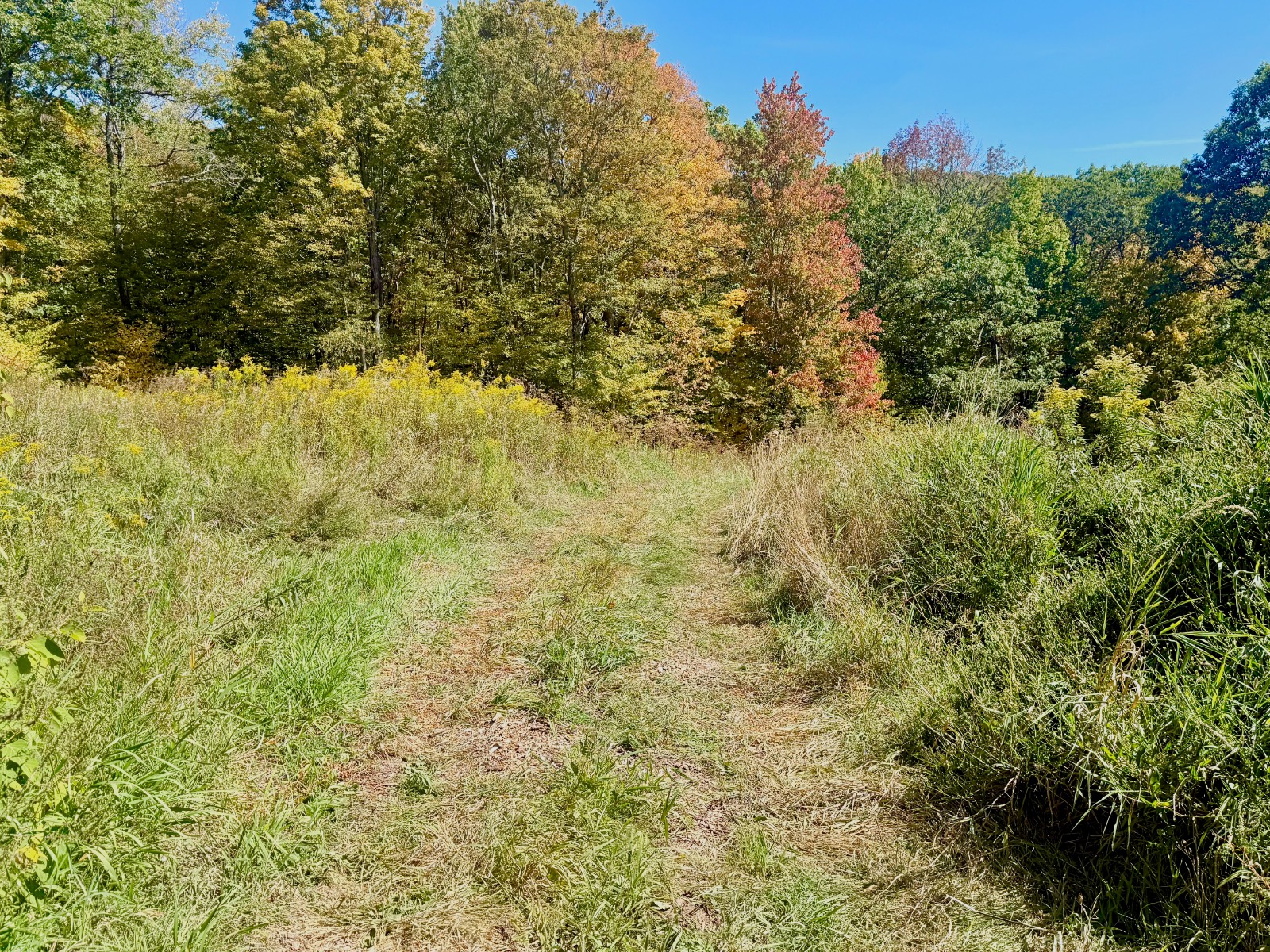 #7 photo, 393 B G Partridge Rd, Windham , NY 12496