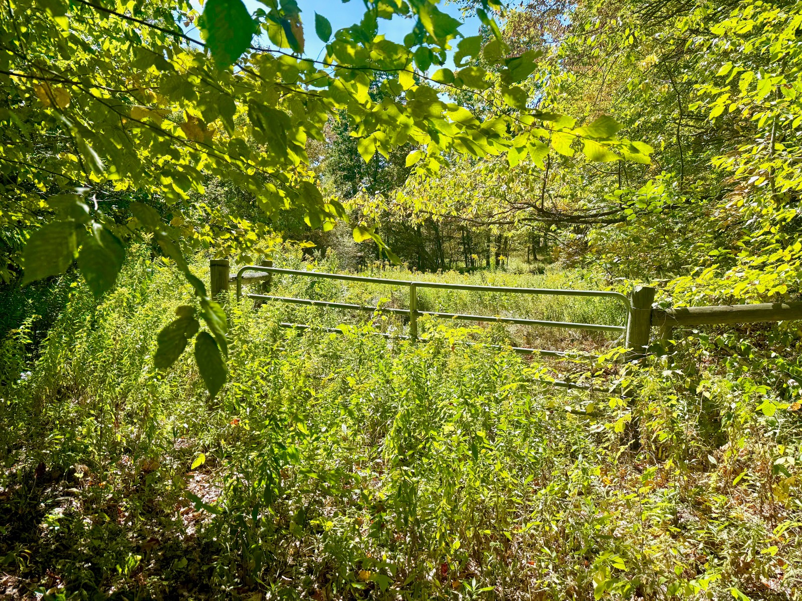 #8 photo, 393 B G Partridge Rd, Windham , NY 12496