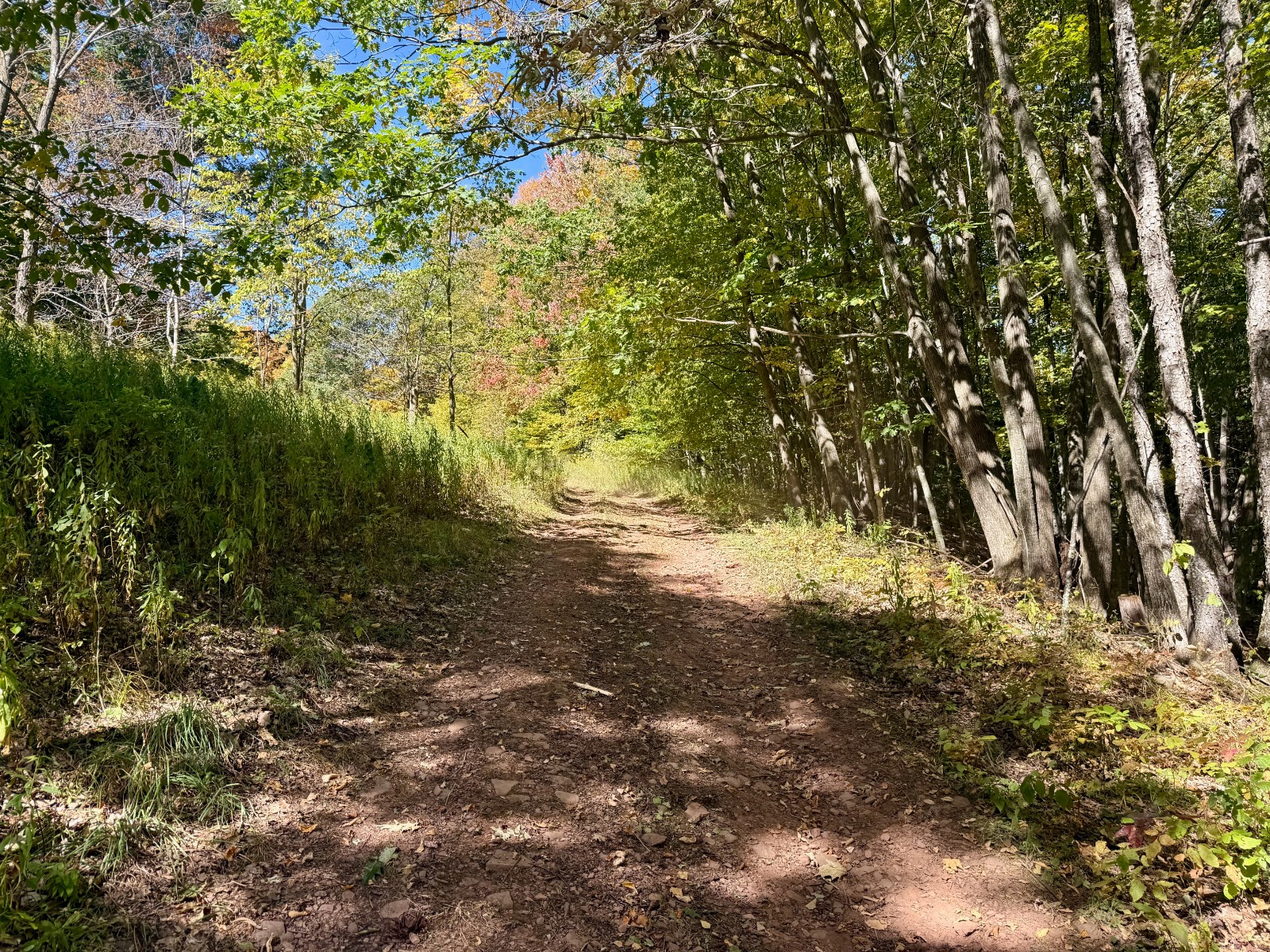 #9 photo, 393 B G Partridge Rd, Windham , NY 12496