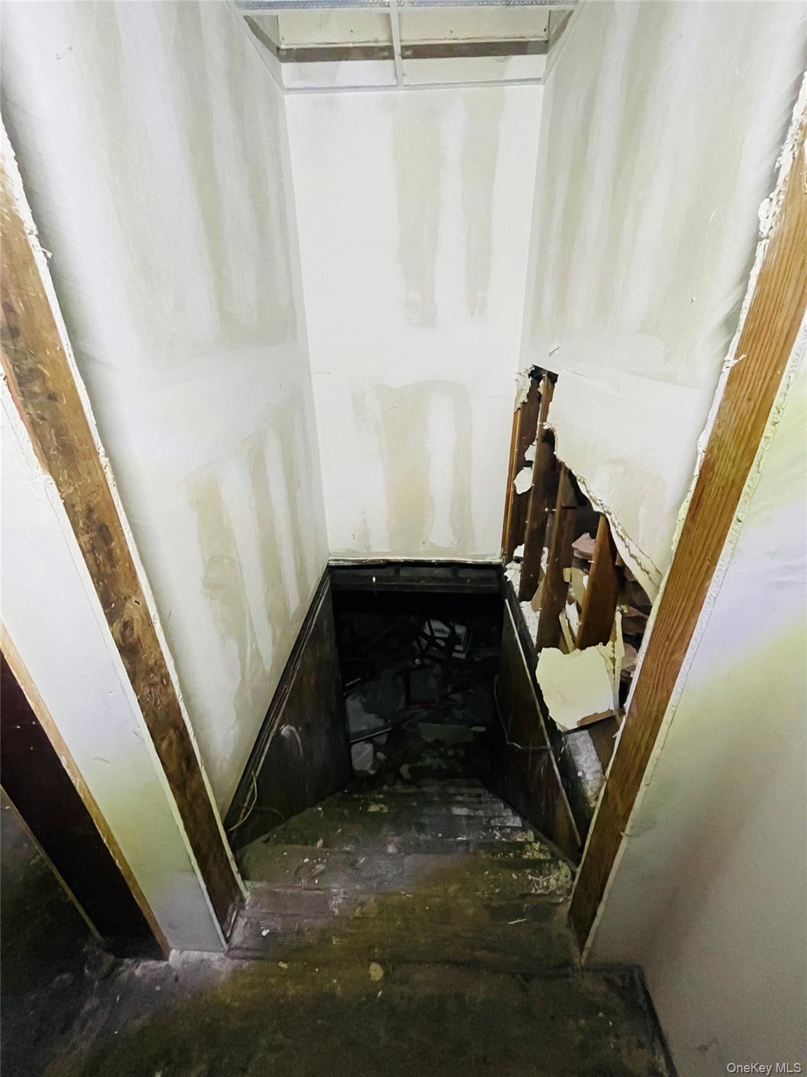 #6 photo, 697 Route 25A, Rocky Point , NY 11778