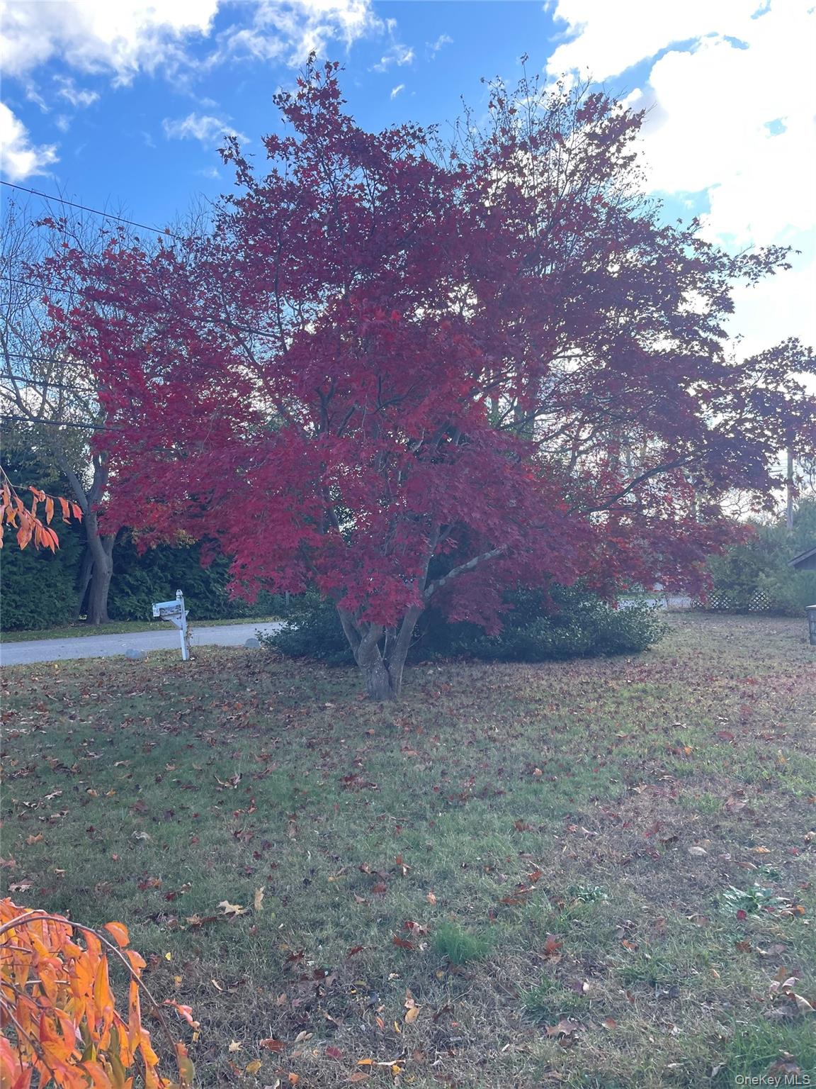 #4 photo, 8 ATLANTIC AVE., Blue Point , NY 11715