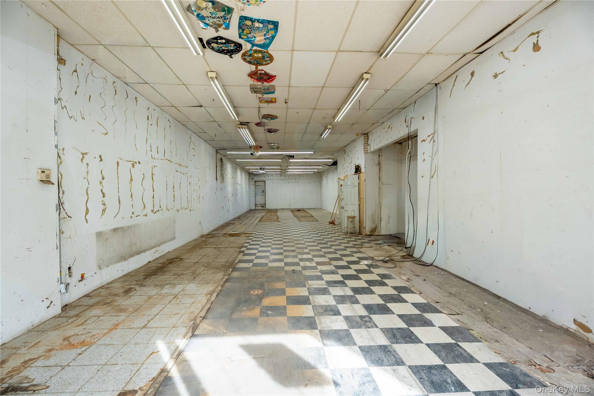 #4 photo, 971 Fulton Street, ブルックリン区 Brooklyn , NY 11238