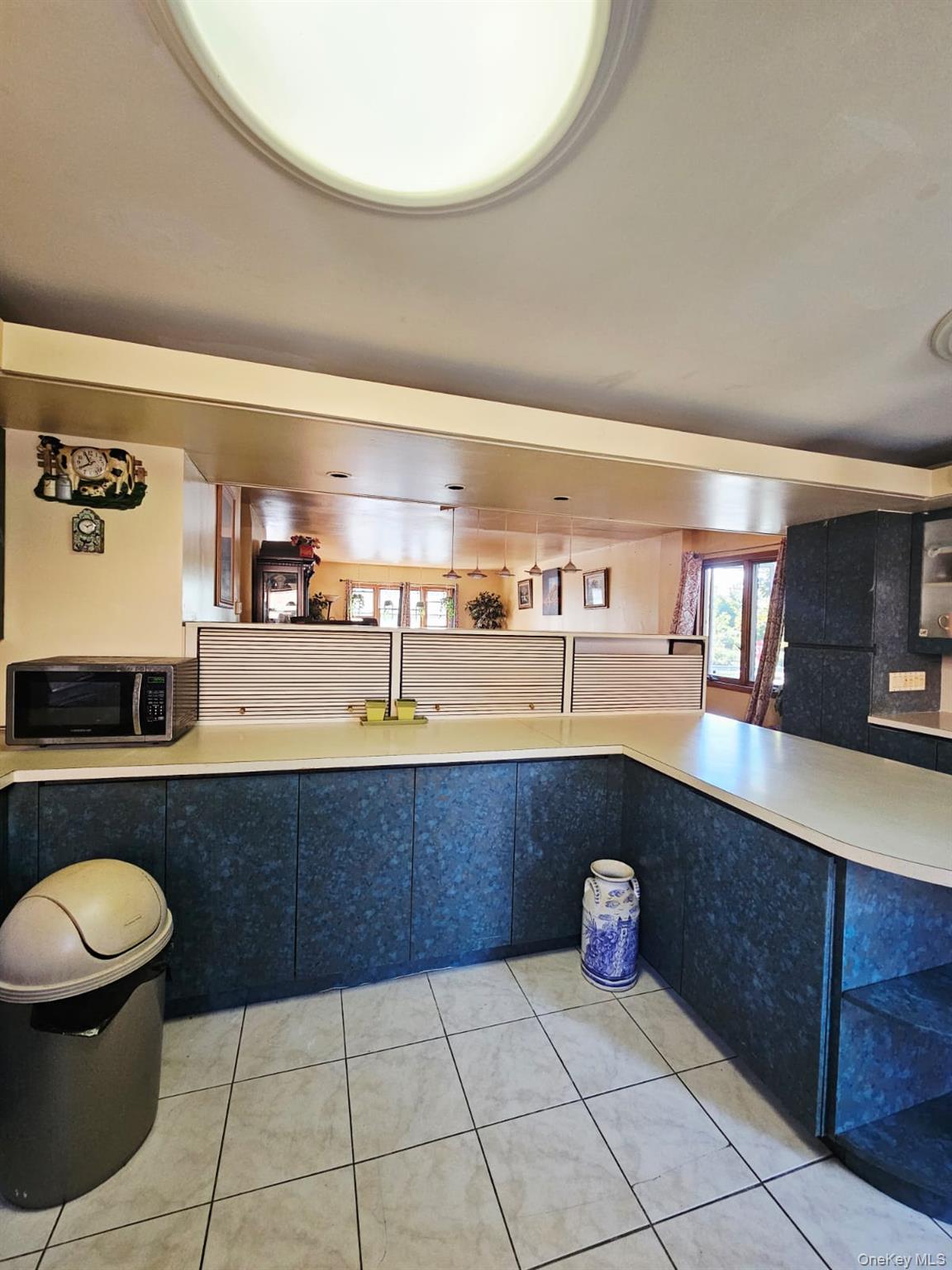 #13 photo, 9203 Schenck Street, Brooklyn , NY 11236