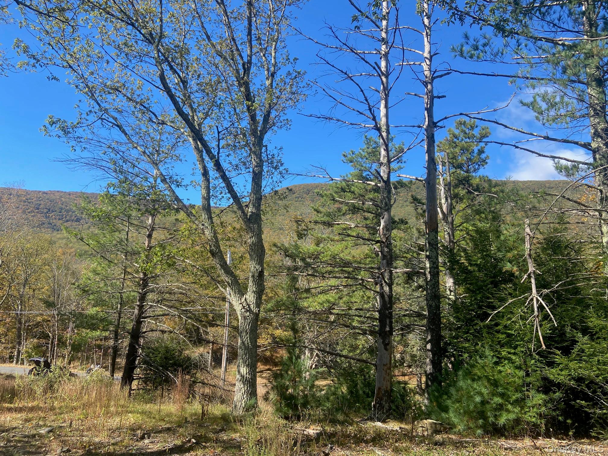 #2 photo, Tbd Manorville Road, Saugerties , NY 12477