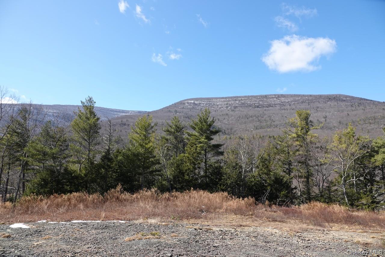 #3 photo, Tbd Manorville Road, Saugerties , NY 12477