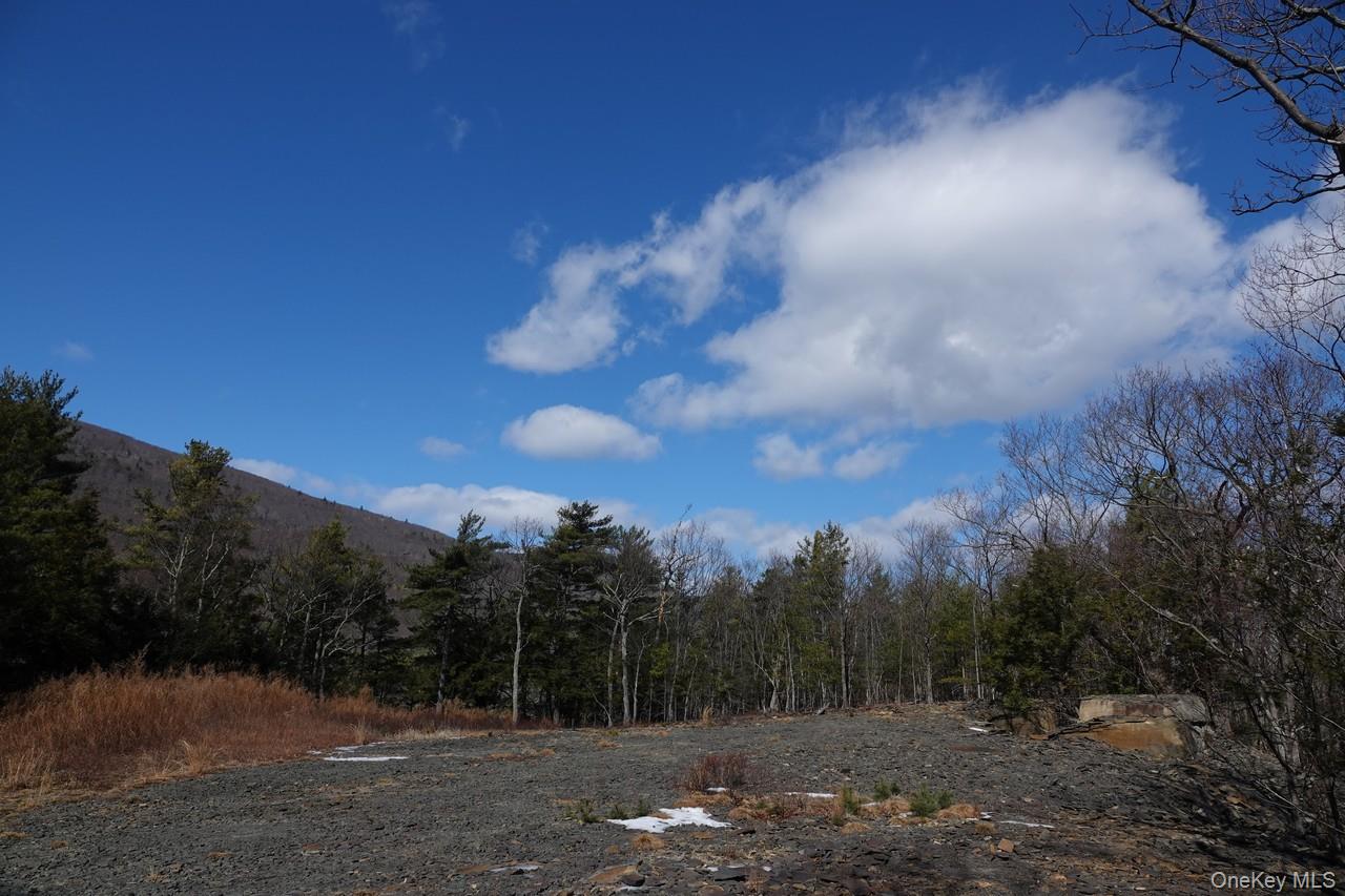 #4 photo, Tbd Manorville Road, Saugerties , NY 12477