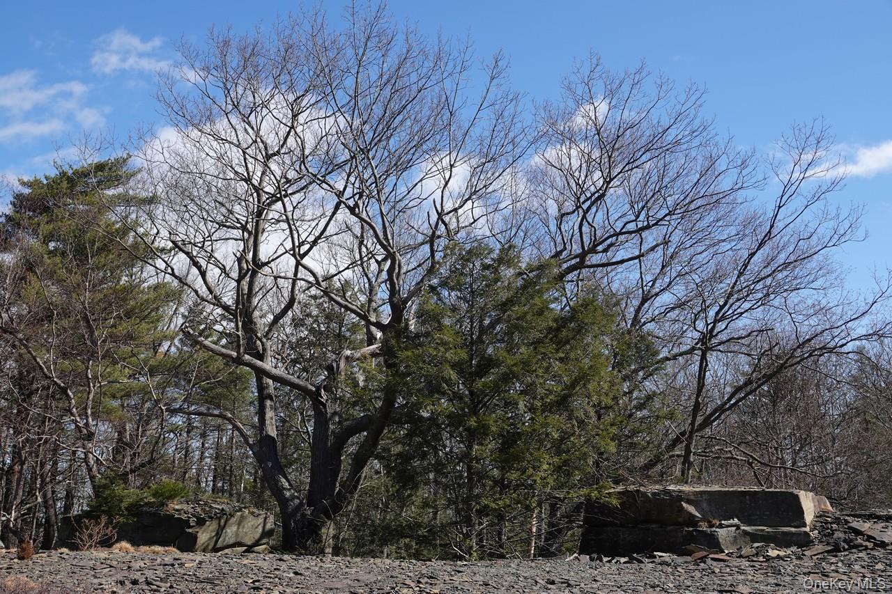 #5 photo, Tbd Manorville Road, Saugerties , NY 12477