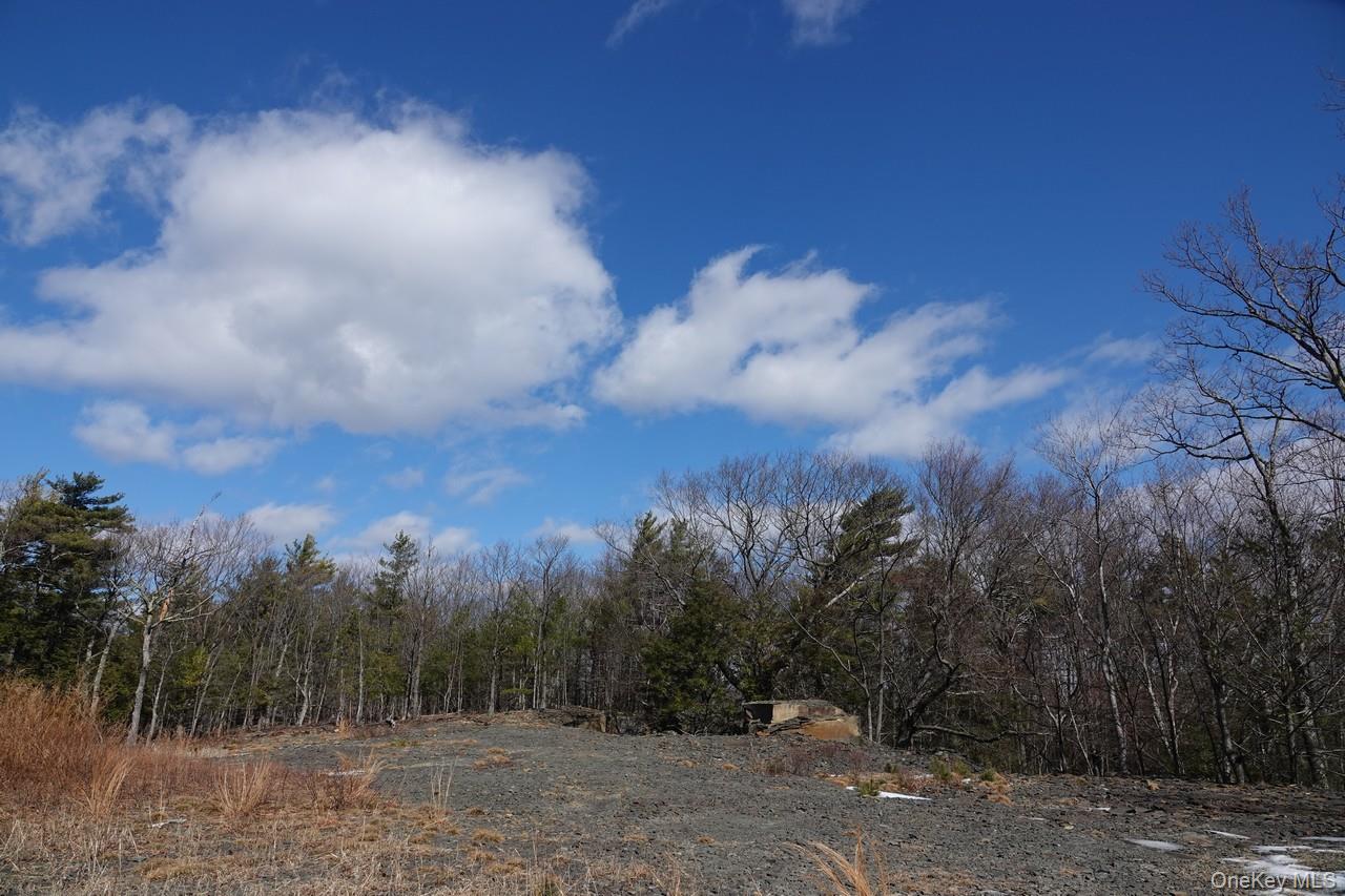 #6 photo, Tbd Manorville Road, Saugerties , NY 12477