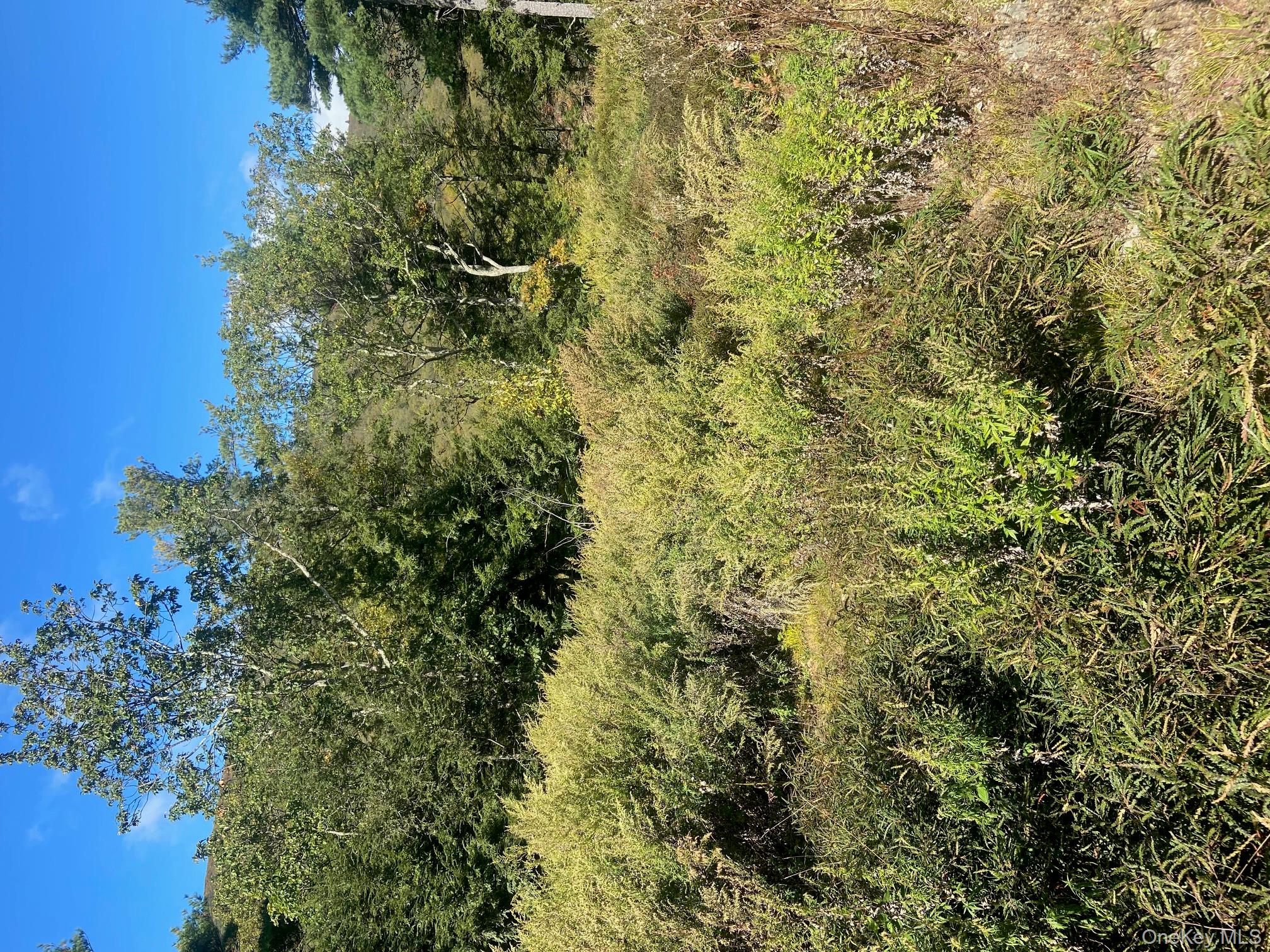 #7 photo, Tbd Manorville Road, Saugerties , NY 12477